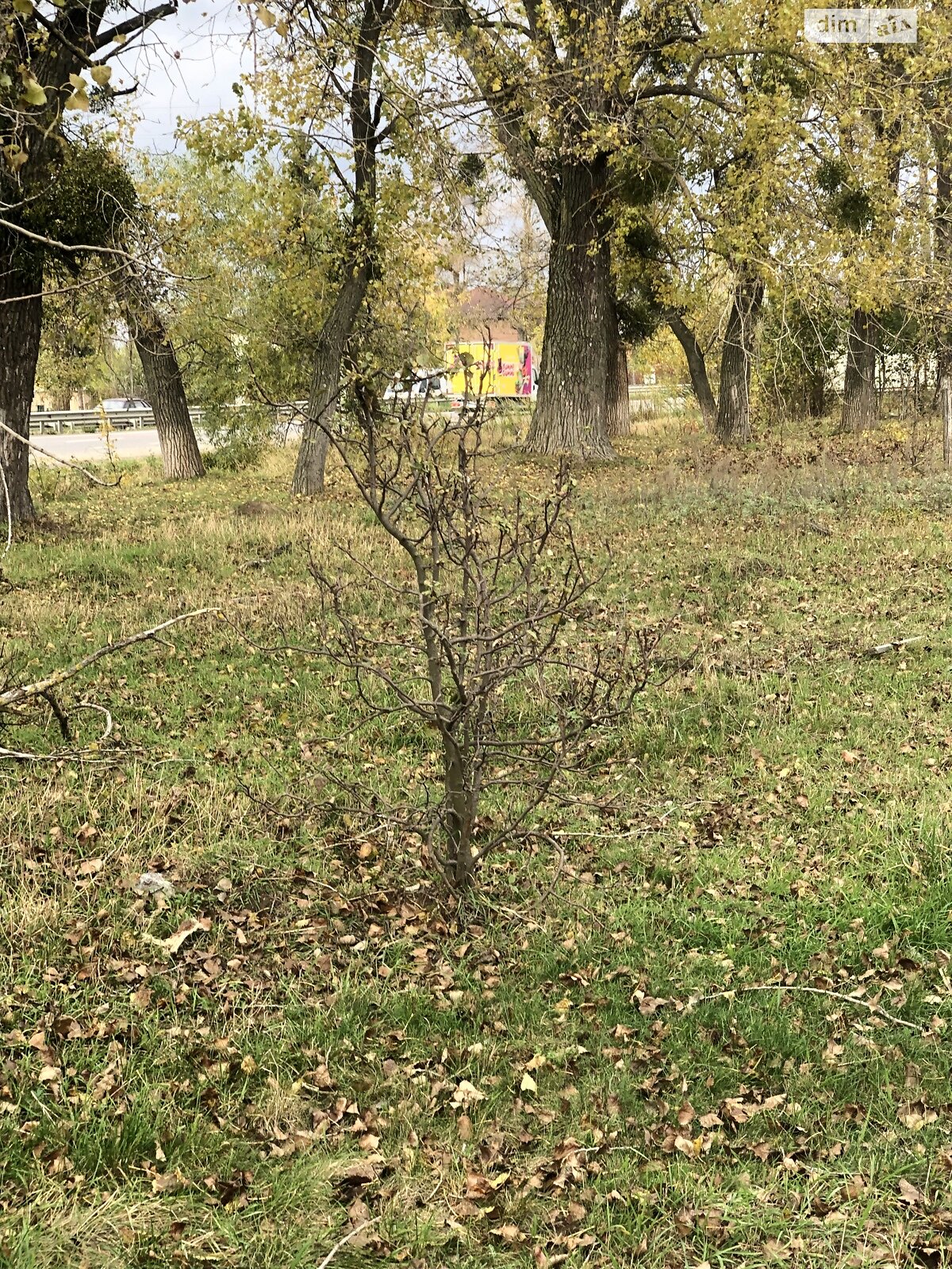 Земельный участок под жилую застройку в Стрижавке, площадь 25 соток фото 1 Земельный участок под жилую застройку в Стрижавке, площадь 25 соток фото 1