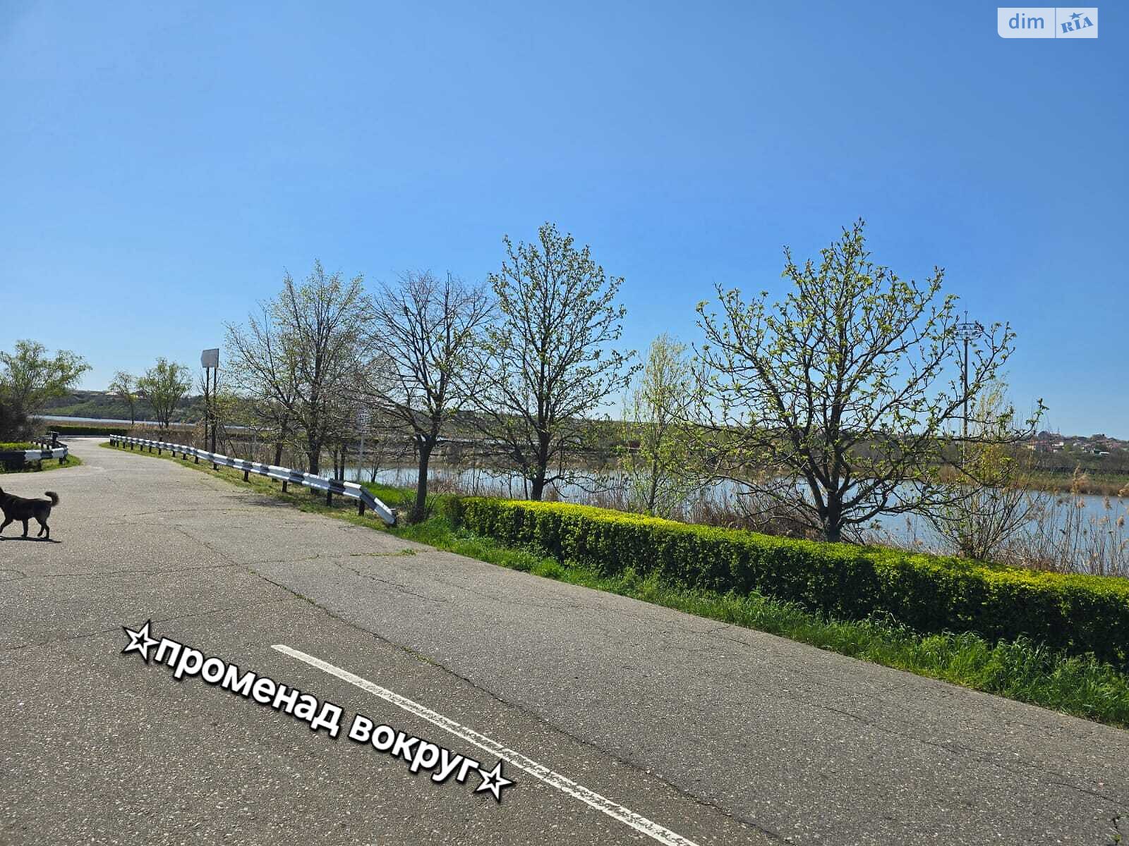 Земельна ділянка під житлову забудову в Сухому Лимані, площа 6 соток фото 1 Земельна ділянка під житлову забудову в Сухому Лимані, площа 6 соток фото 1