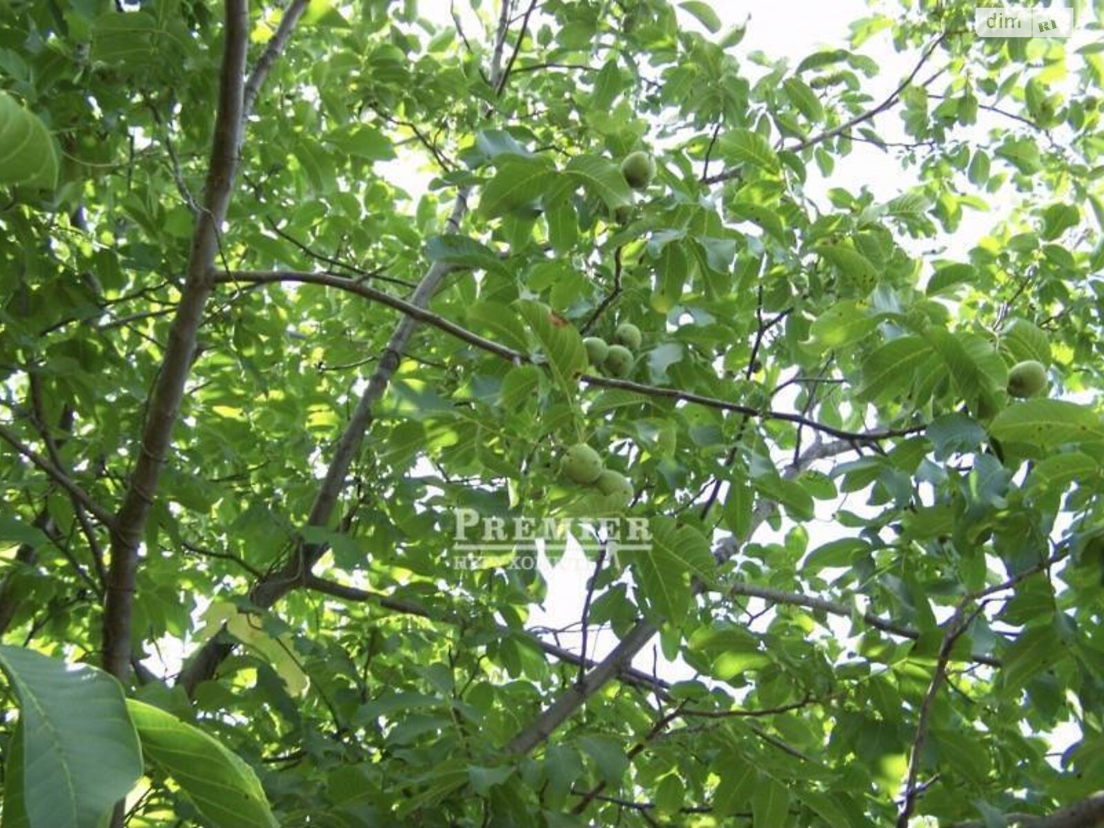 Земельна ділянка під житлову забудову в Сухому Лимані, площа 6.6 сотки фото 1 Земельна ділянка під житлову забудову в Сухому Лимані, площа 6.6 сотки фото 1