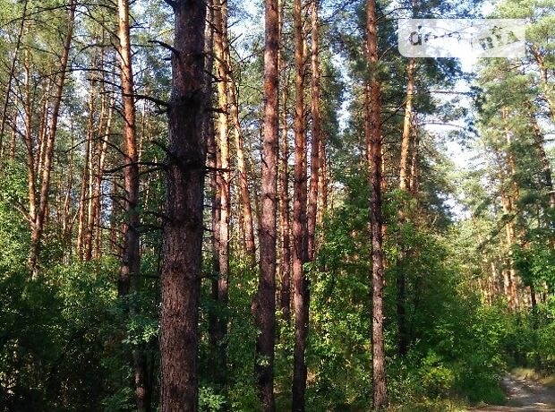 Земельный участок под жилую застройку в Сумах, площадь 100 соток фото 1 Земельный участок под жилую застройку в Сумах, площадь 100 соток фото 1