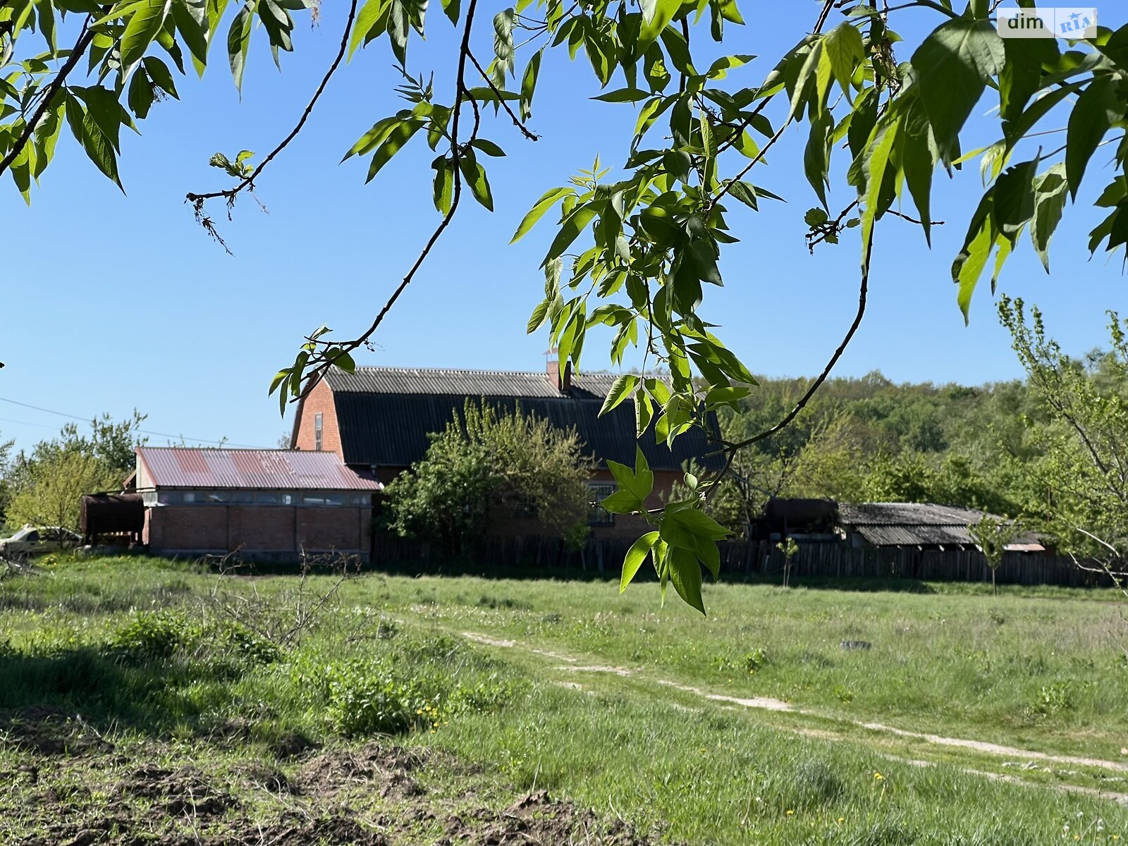 Земельна ділянка під житлову забудову в Супрунівці, площа 15 соток фото 1