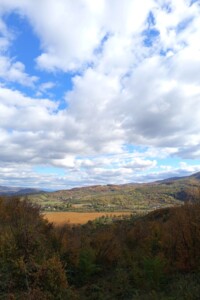 Земельна ділянка під житлову забудову в Сускове, площа 8.41 сотки фото 2 Земельна ділянка під житлову забудову в Сускове, площа 8.41 сотки фото 2