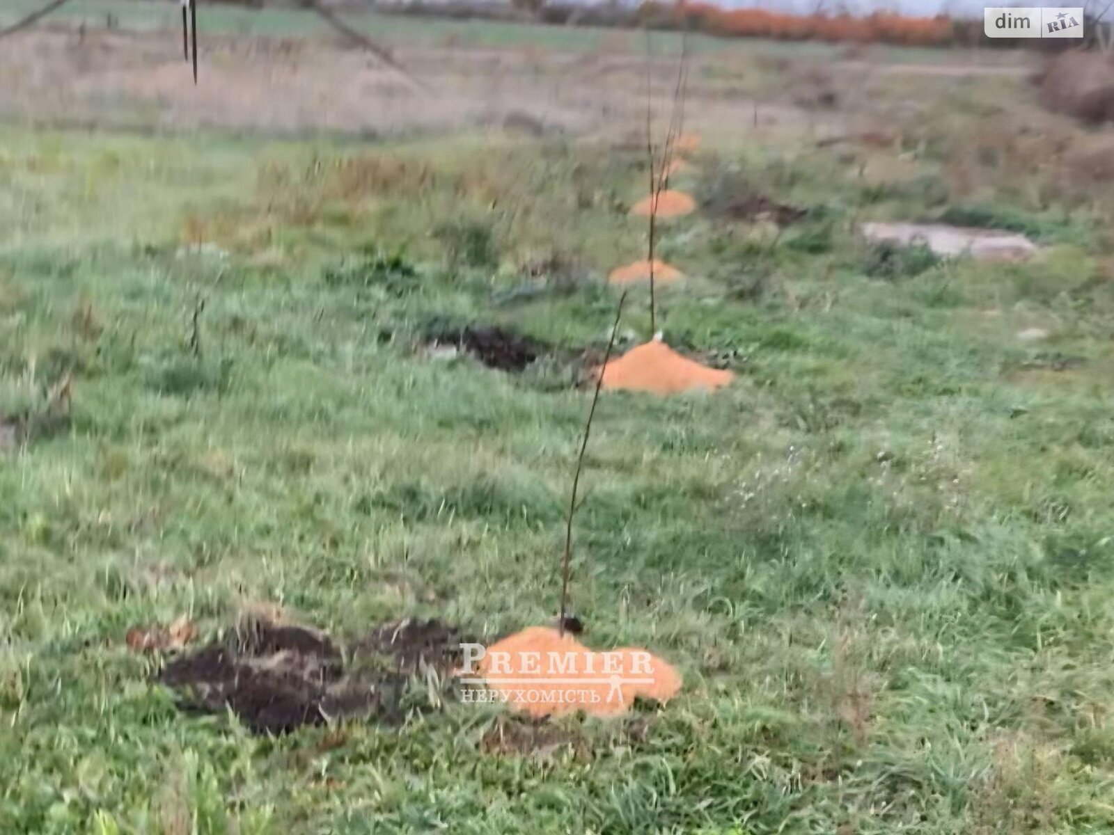 Земельный участок под жилую застройку в Свердлове, площадь 10 соток фото 1