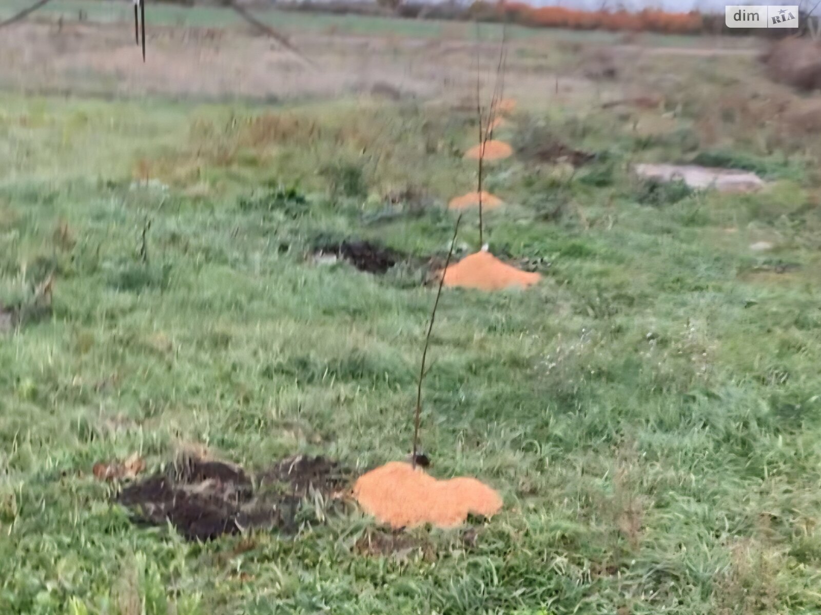 Земельный участок под жилую застройку в Свердлове, площадь 10 соток фото 1