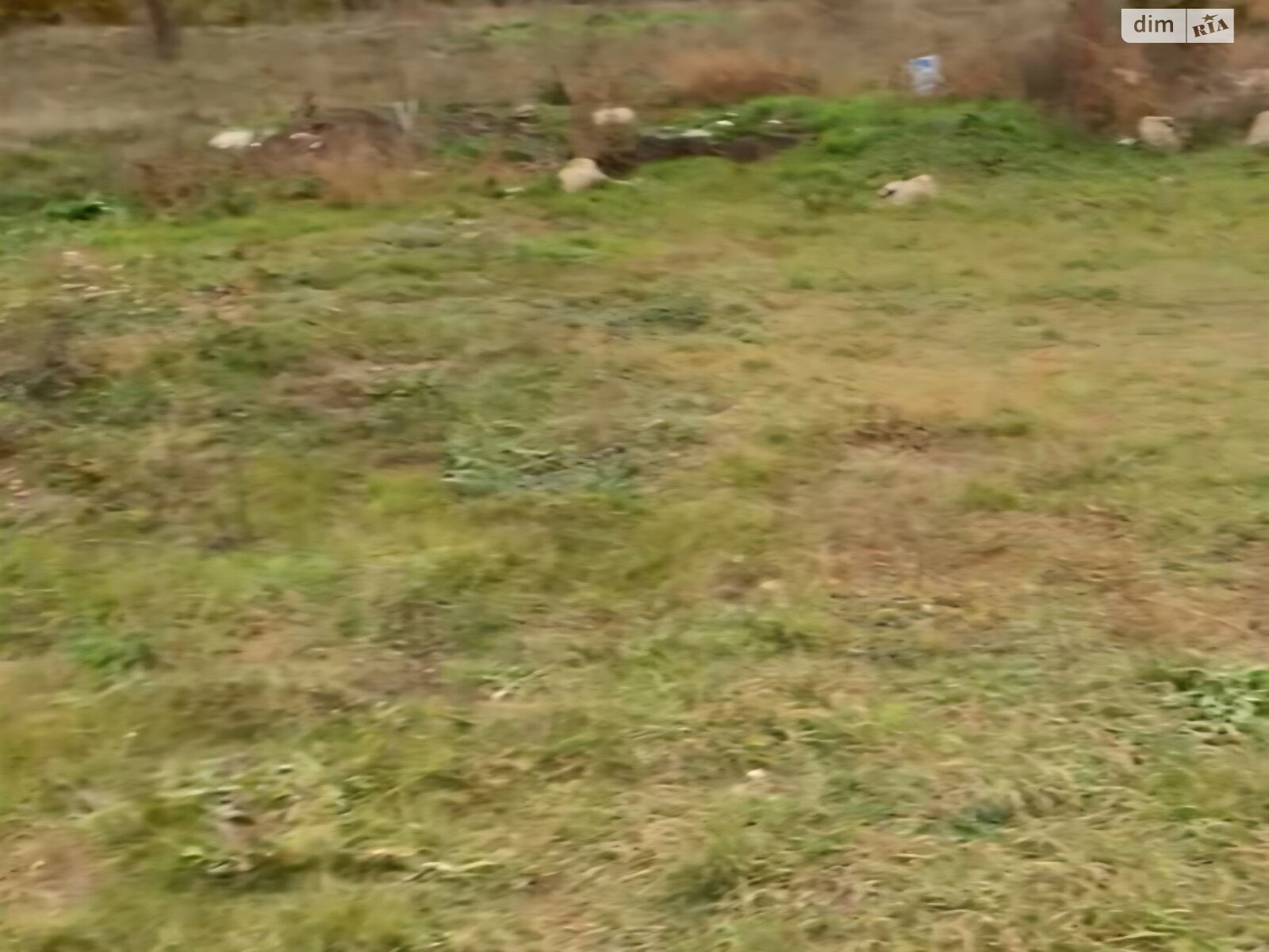 Земельный участок под жилую застройку в Свердлове, площадь 10 соток фото 1