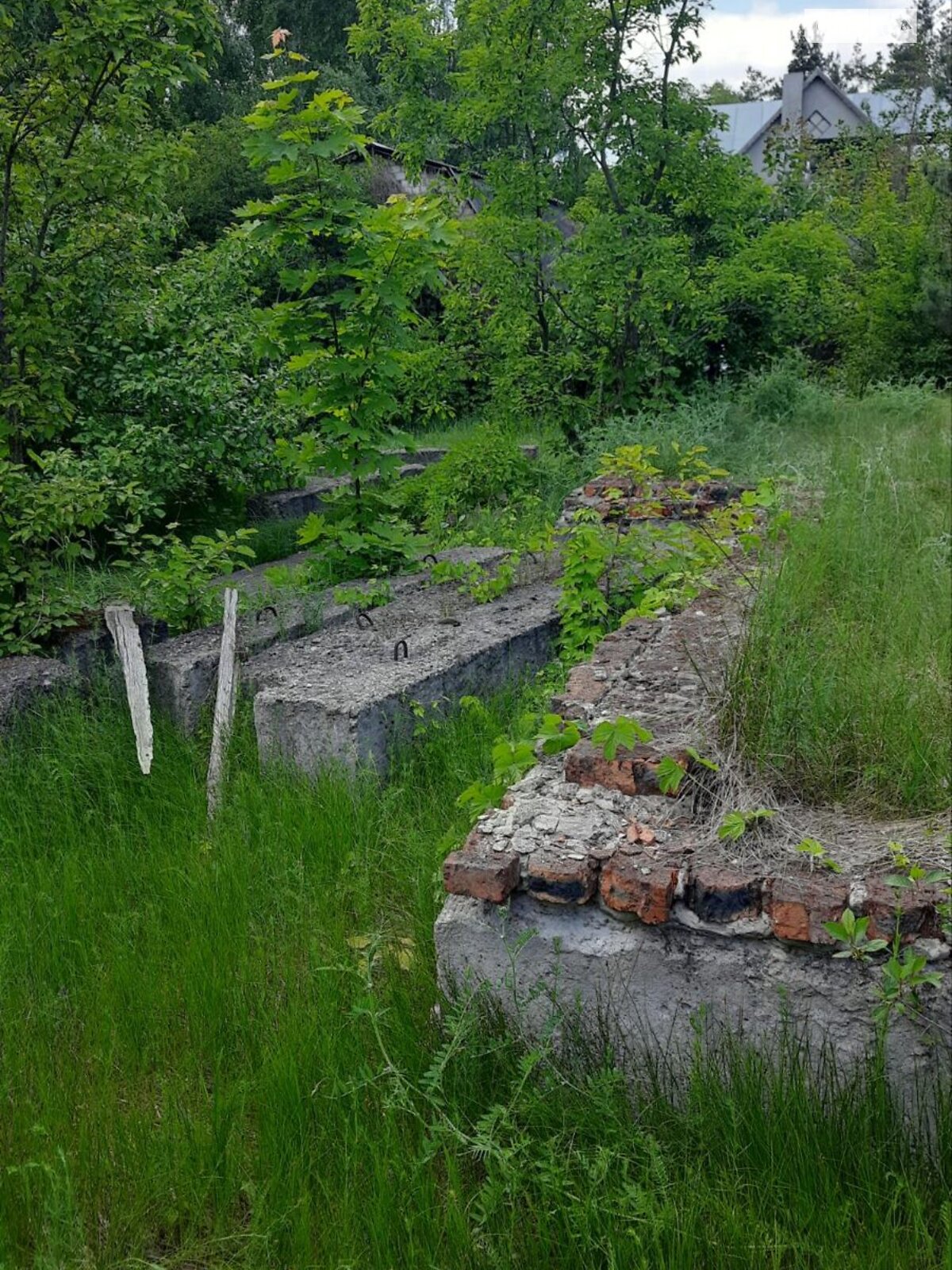 Земельный участок под жилую застройку в Свидивке, площадь 22 сотки фото 1