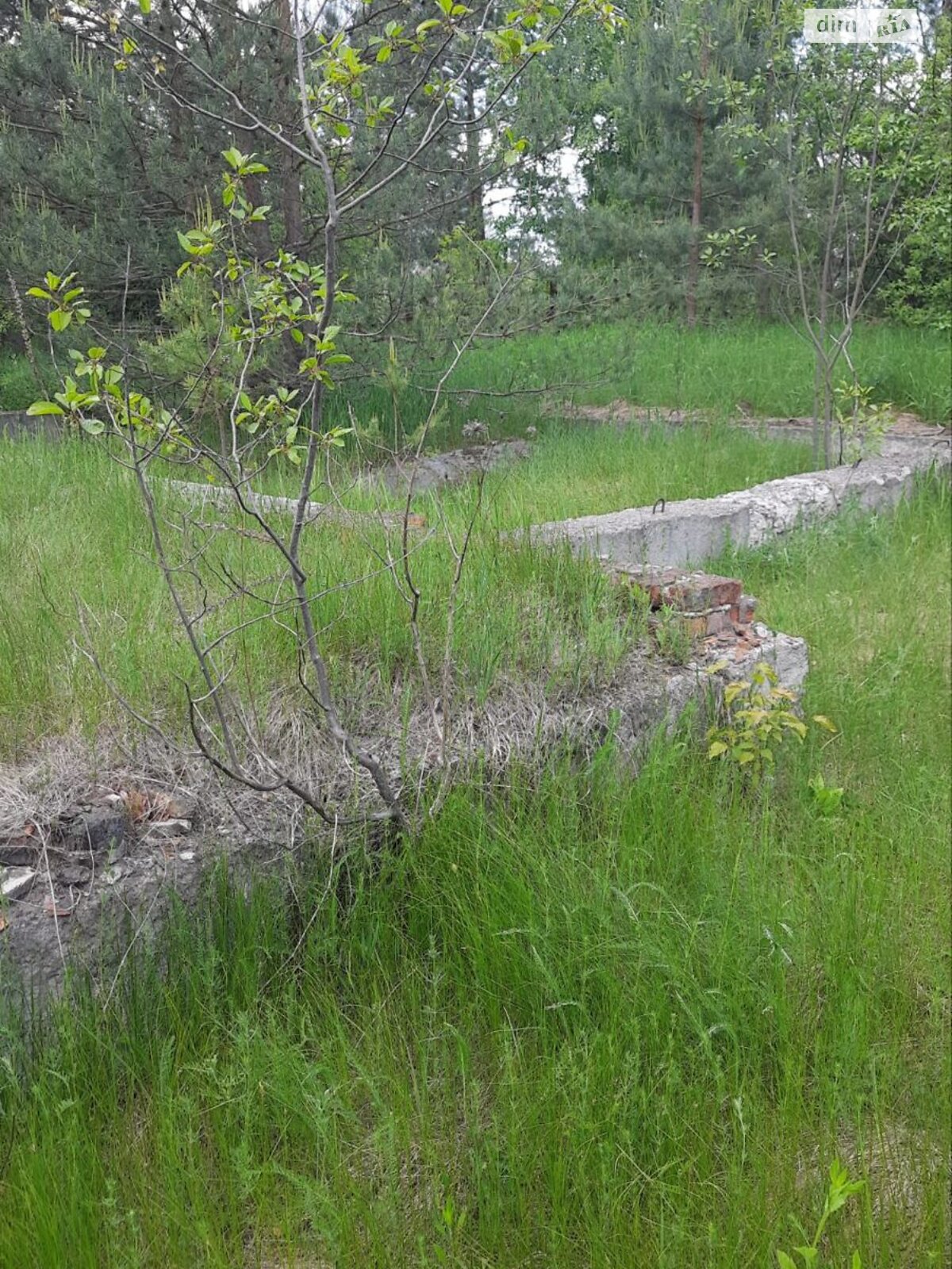 Земельный участок под жилую застройку в Свидивке, площадь 22 сотки фото 1