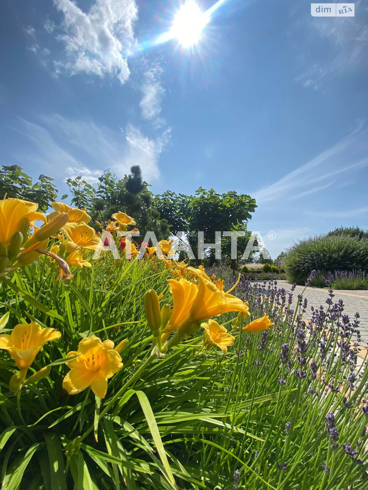 Земельна ділянка під житлову забудову в Таїрове, площа 6 соток фото 1 Земельна ділянка під житлову забудову в Таїрове, площа 6 соток фото 1