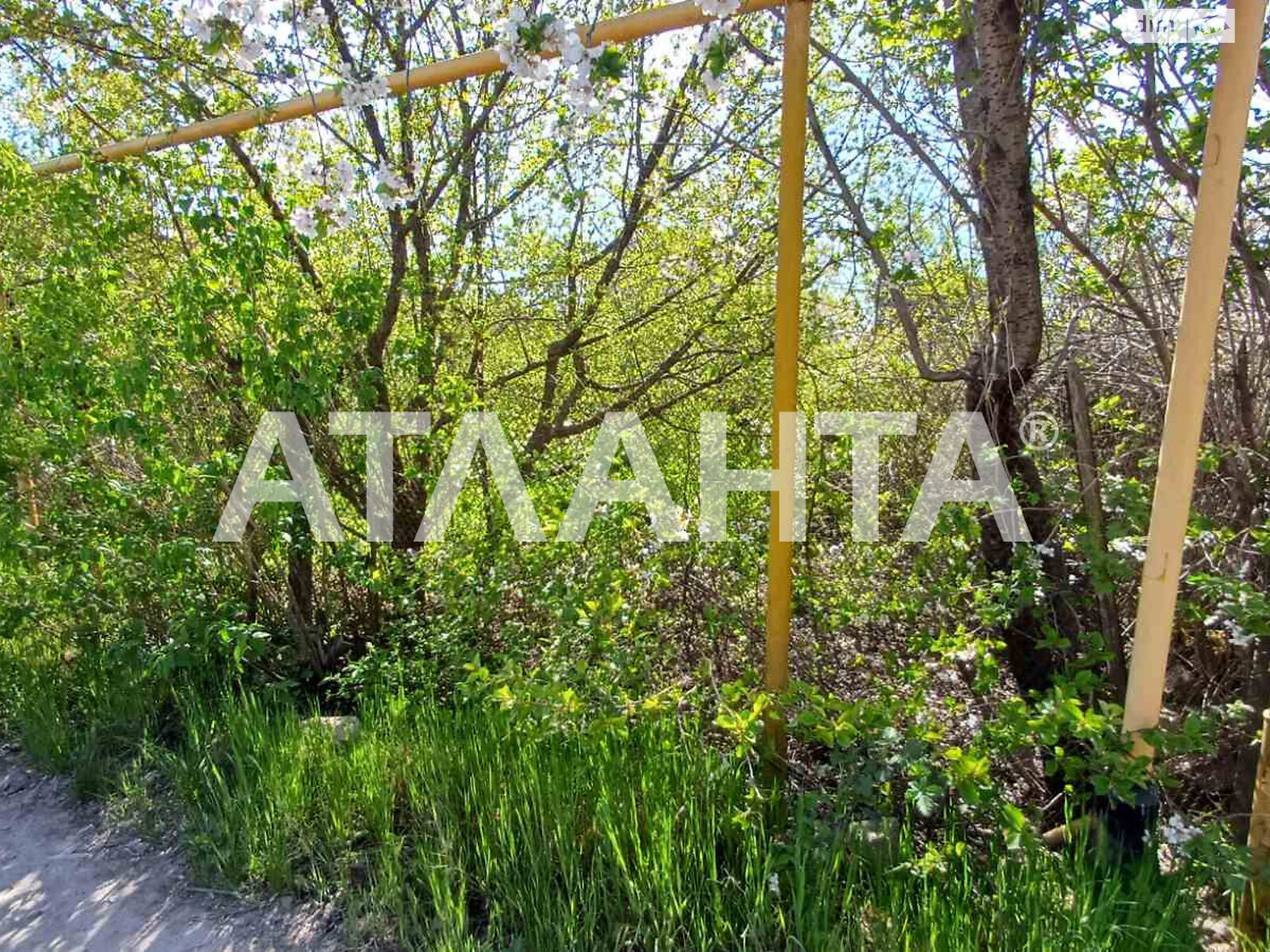 Земельна ділянка під житлову забудову в Таїрове, площа 6 соток фото 1 Земельна ділянка під житлову забудову в Таїрове, площа 6 соток фото 1