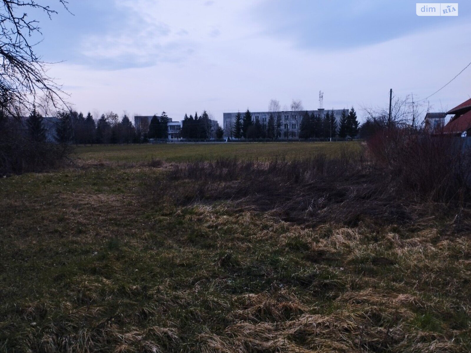Земельный участок под жилую застройку в Тарновцах, площадь 66 соток фото 1