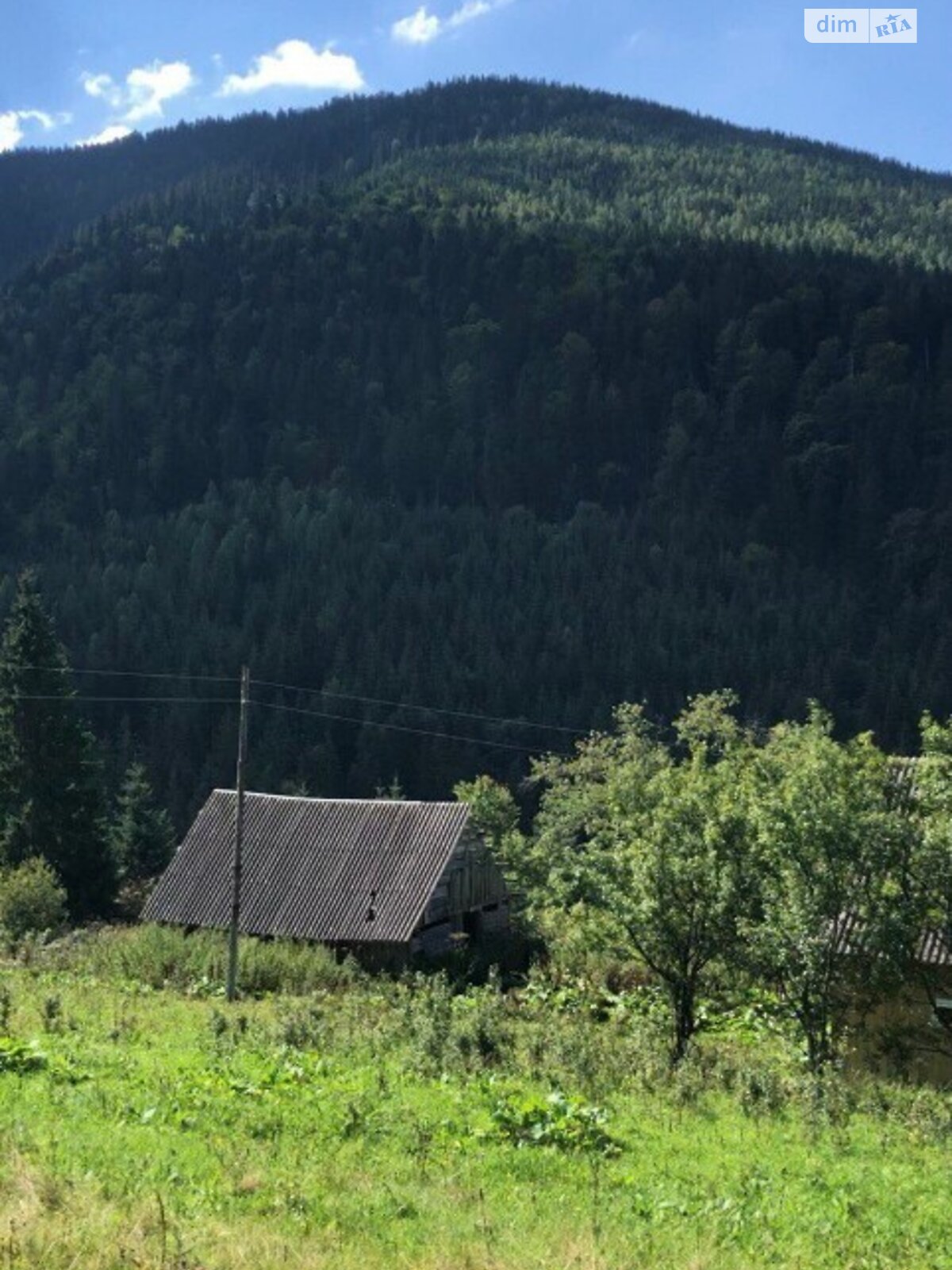 Земельный участок под жилую застройку в Татарове, площадь 40 соток фото 1