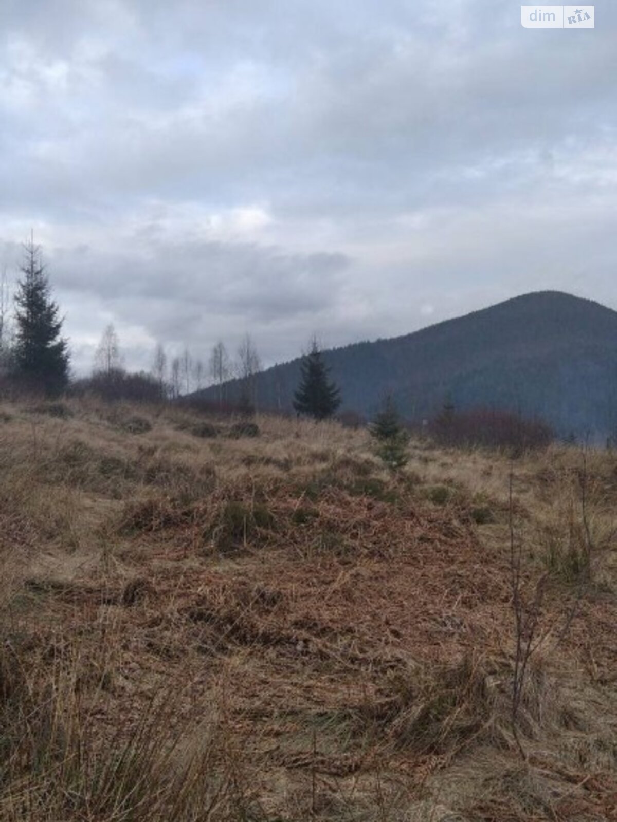 Земельна ділянка під житлову забудову в Татарові, площа 10 соток фото 1 Земельна ділянка під житлову забудову в Татарові, площа 10 соток фото 1