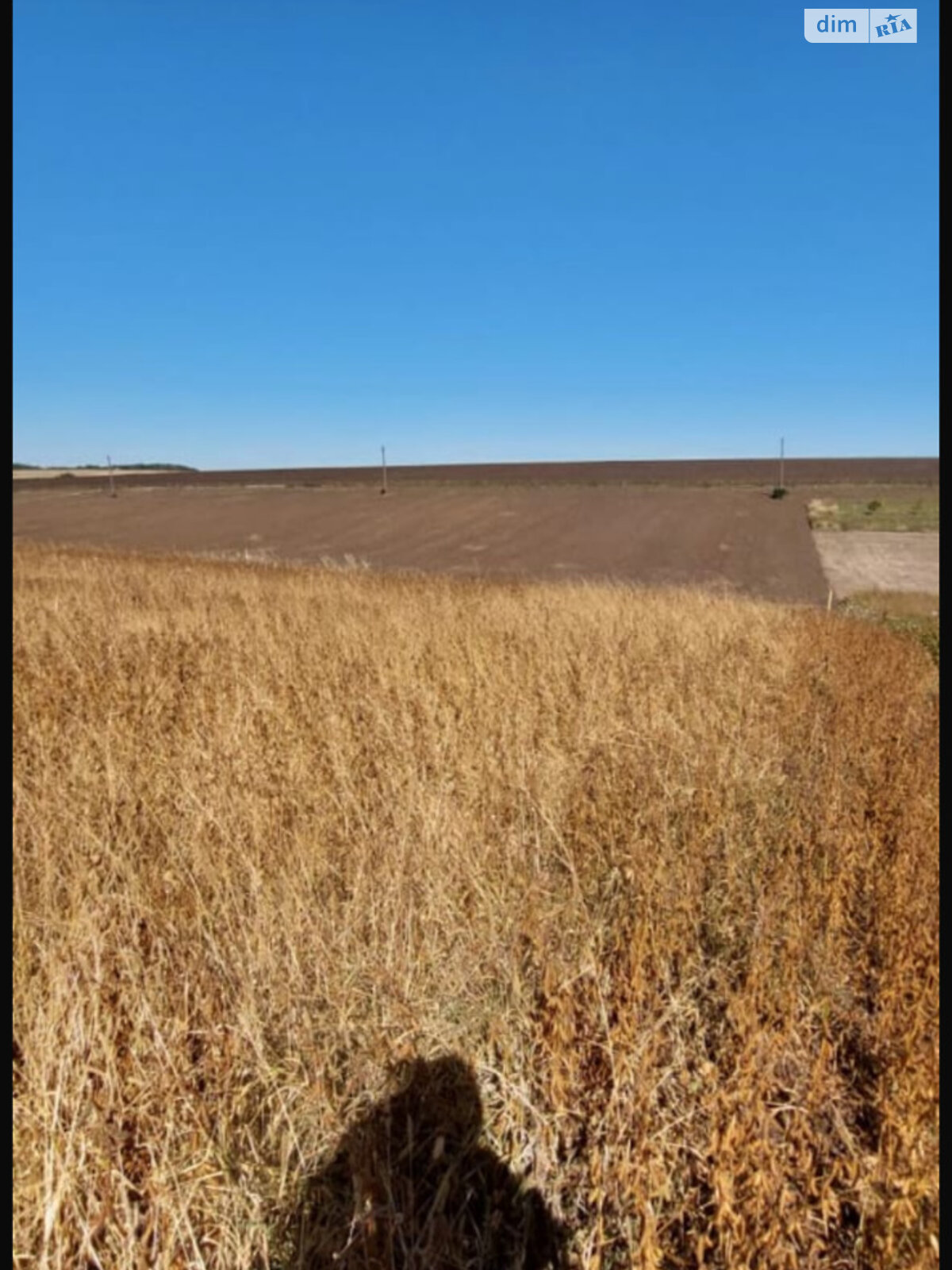 Земля под жилую застройку в Теребовле, площадь 9.75 сотки фото 1 Земля под жилую застройку в Теребовле, площадь 9.75 сотки фото 1