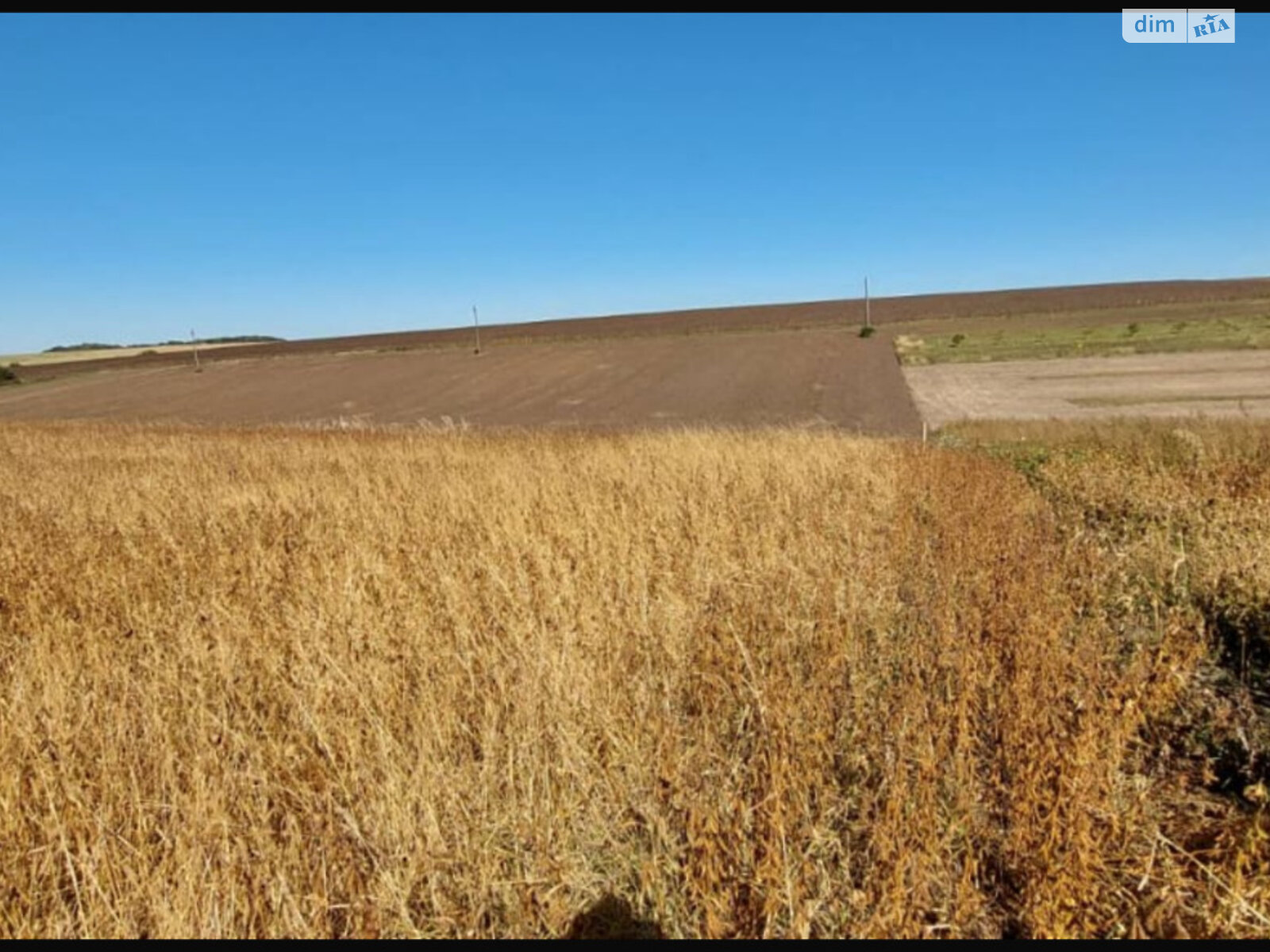 Земля под жилую застройку в Теребовле, площадь 9.75 сотки фото 1 Земля под жилую застройку в Теребовле, площадь 9.75 сотки фото 1