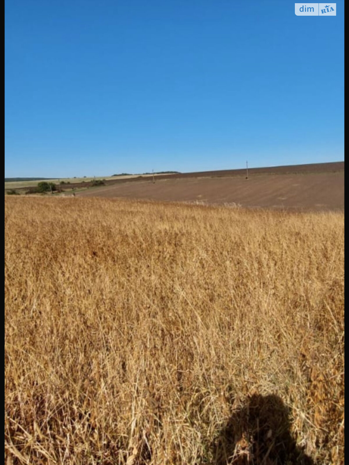 Земля под жилую застройку в Теребовле, площадь 9.75 сотки фото 1 Земля под жилую застройку в Теребовле, площадь 9.75 сотки фото 1