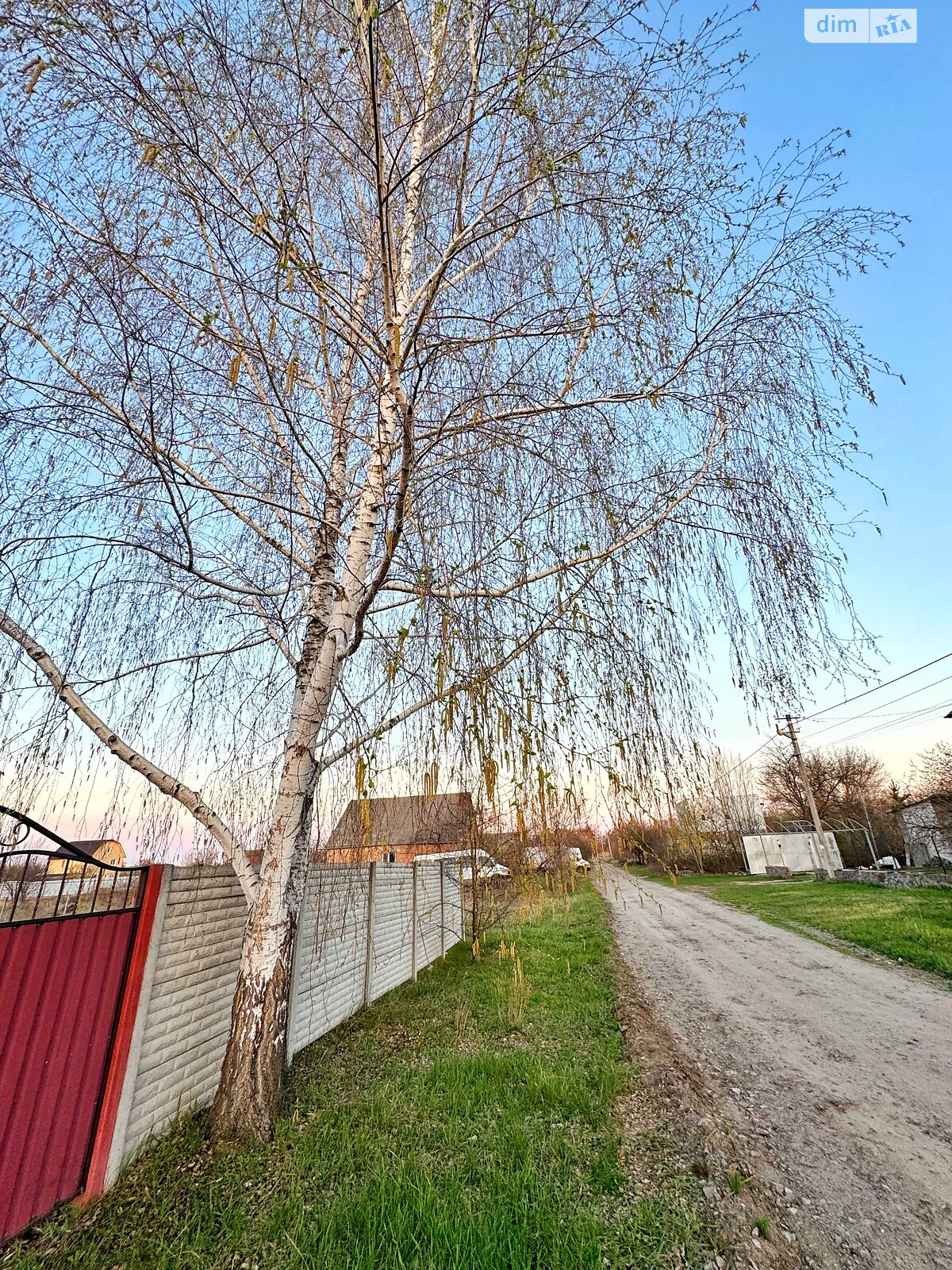 Земельный участок под жилую застройку в Терентиевке, площадь 15 соток фото 1 Земельный участок под жилую застройку в Терентиевке, площадь 15 соток фото 1