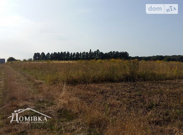 Земля під житлову забудову в селі Біла, площа 18.77 сотки фото 1 Земля під житлову забудову в селі Біла, площа 18.77 сотки фото 1
