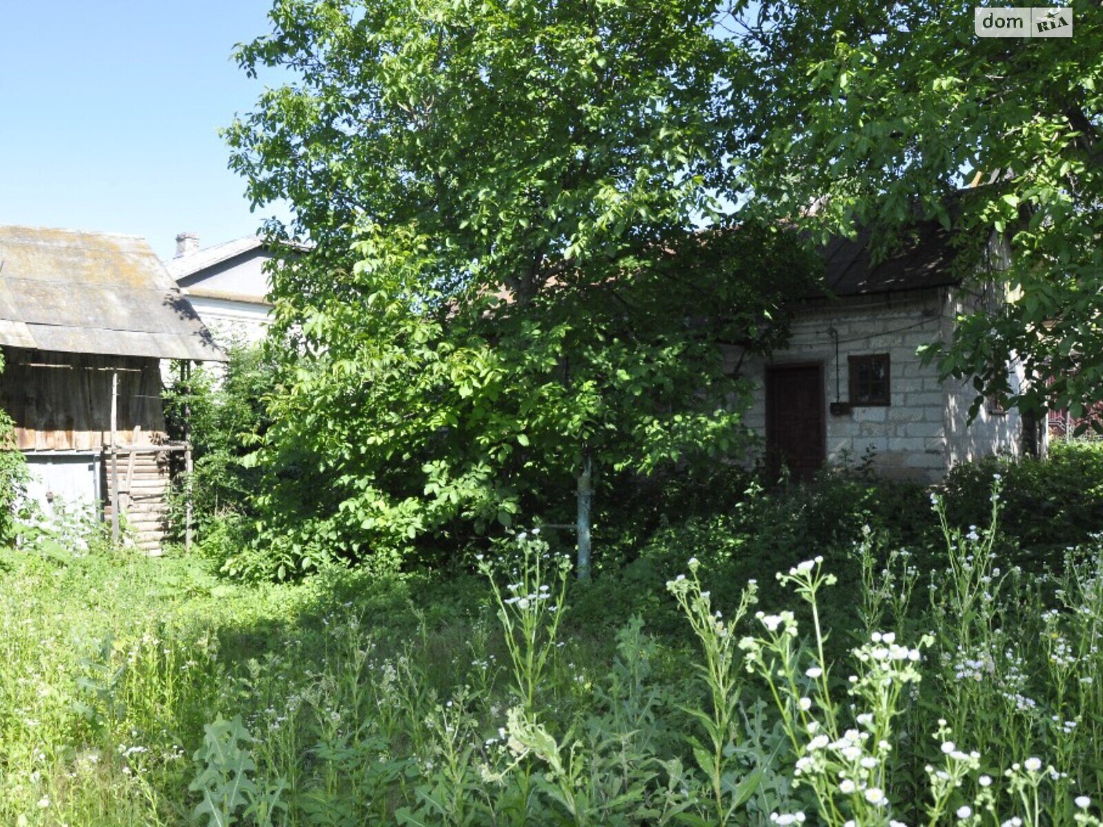 Земельна ділянка під житлову забудову в Івачеві Долішньому, площа 50.7 сотки фото 1