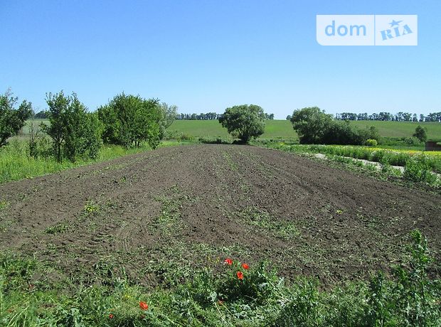 Земля под жилую застройку в селе Кипьячка, площадь 20 соток фото 1 Земля под жилую застройку в селе Кипьячка, площадь 20 соток фото 1