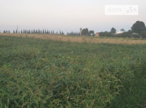 Земля под жилую застройку в селе Кипьячка, площадь 15 соток фото 2 Земля под жилую застройку в селе Кипьячка, площадь 15 соток фото 2