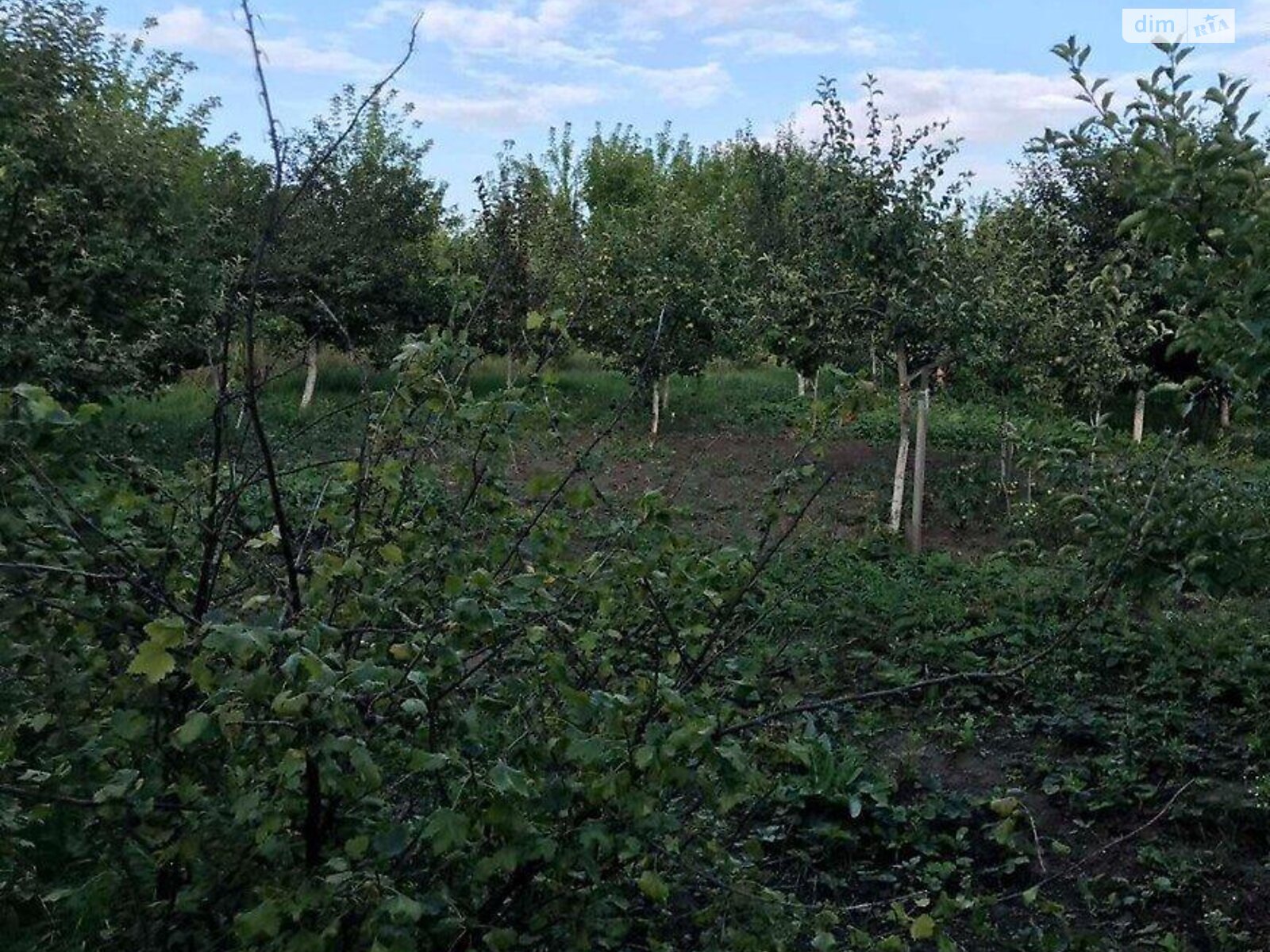 Земля під житлову забудову в Тернополі, район Кленовий гай, площа 12 соток фото 1