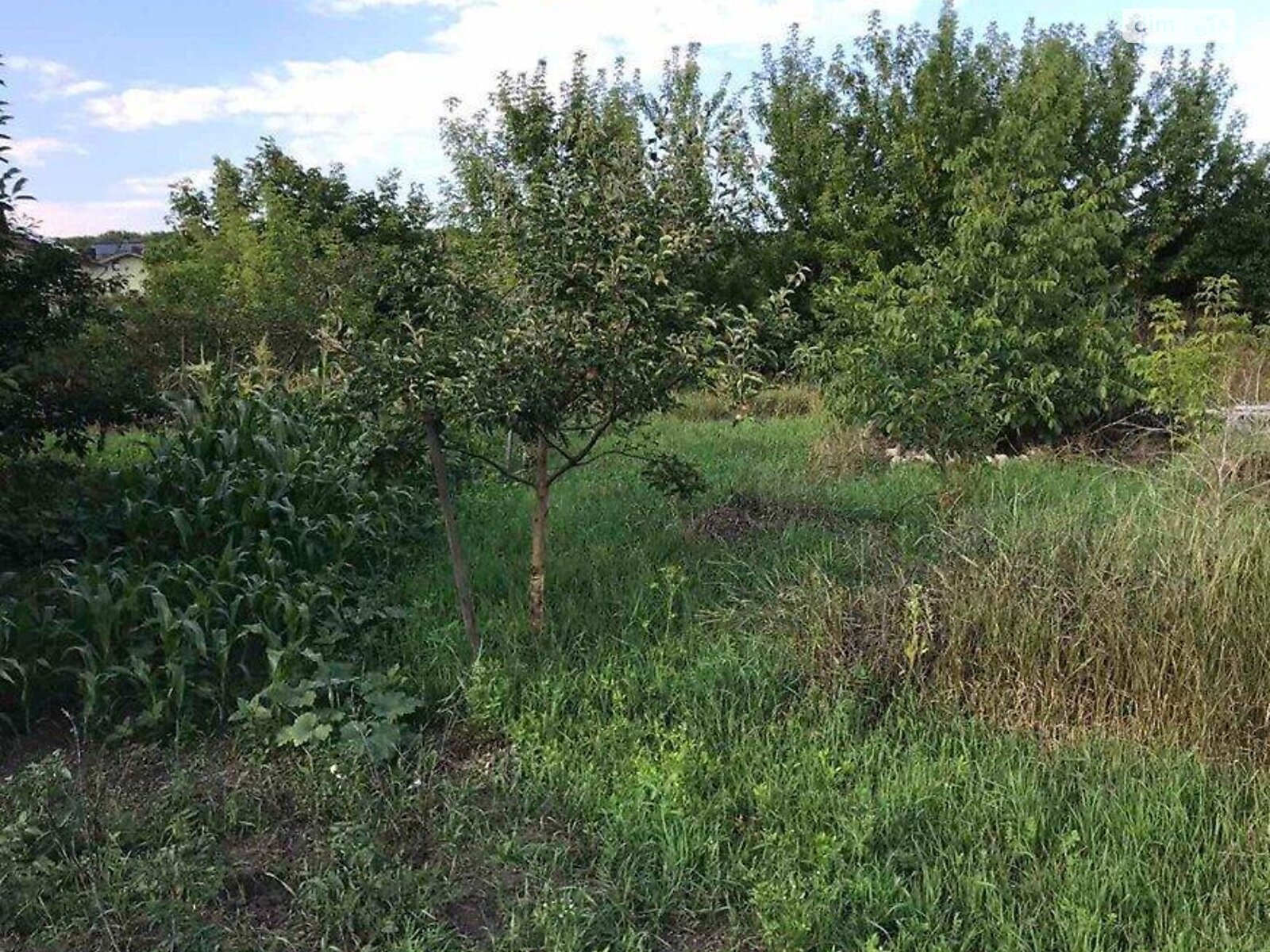 Земля під житлову забудову в Тернополі, район Кленовий гай, площа 12 соток фото 1