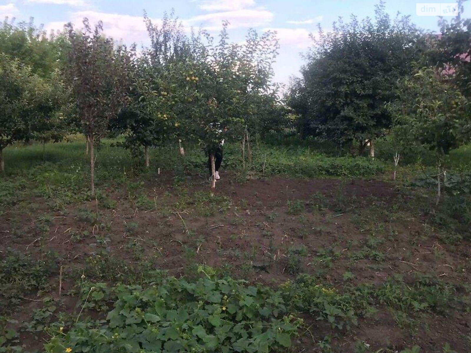 Земля под жилую застройку в Тернополе, район Кленовый гай, площадь 12 соток фото 1