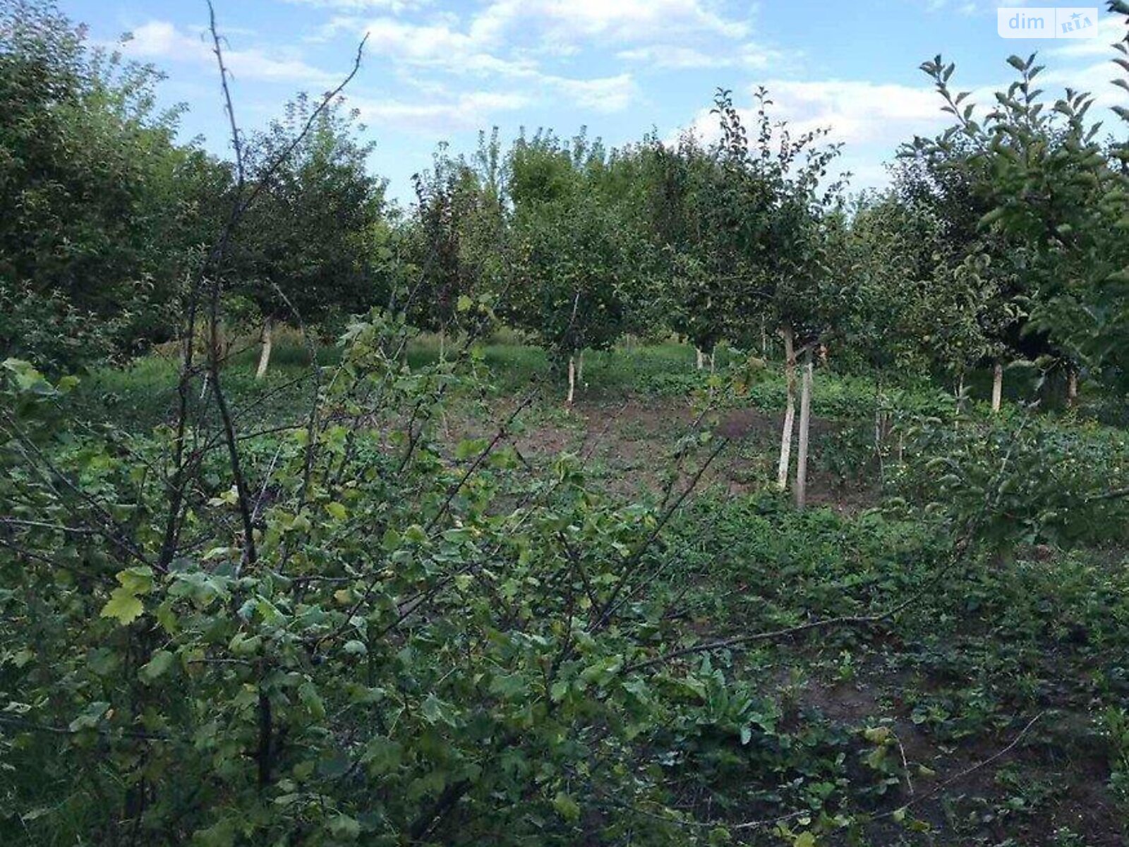 Земля під житлову забудову в Тернополі, район Кленовий гай, площа 12 соток фото 1