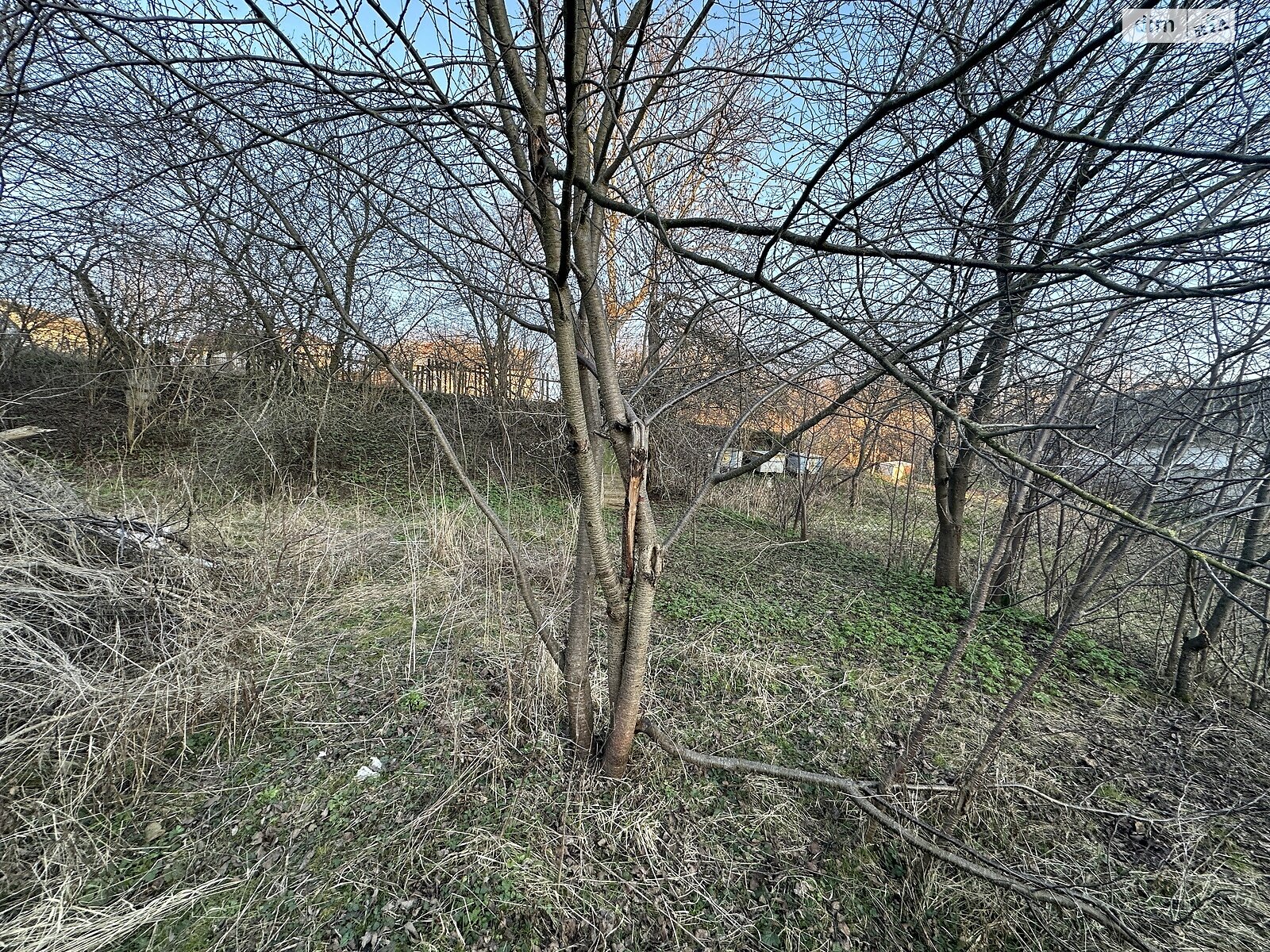 Земля під житлову забудову в Тернополі, район Кутківці, площа 8 соток фото 1
