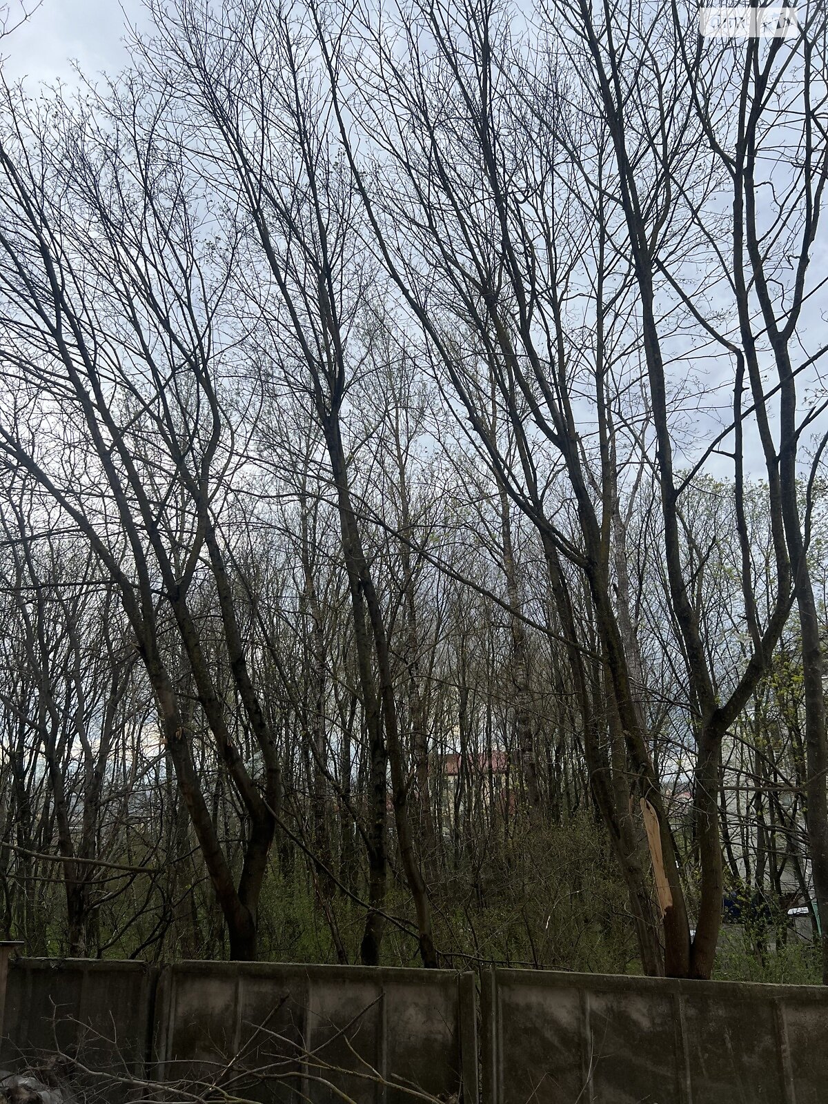 Земля под жилую застройку в Тернополе, район Кутковцы, площадь 0.085 Га фото 1