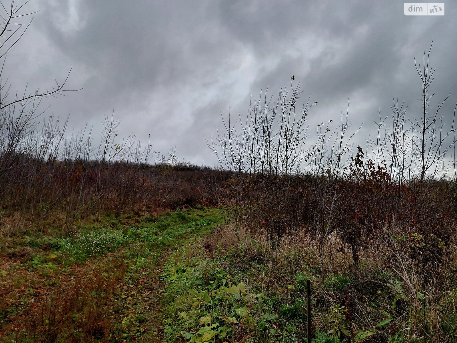 Земля під житлову забудову в Тернополі, район Цукровий завод, площа 6 соток фото 1