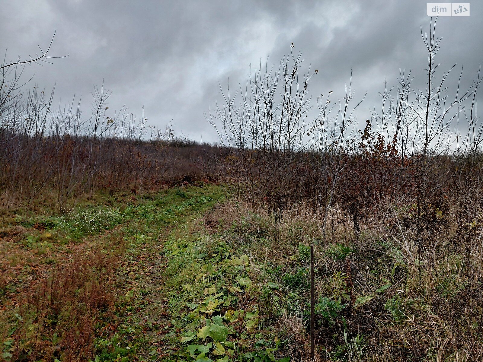 Земля під житлову забудову в Тернополі, район Цукровий завод, площа 6 соток фото 1