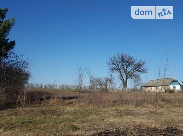Земля под жилую застройку в селе Настасов, площадь 25 соток фото 1 Земля под жилую застройку в селе Настасов, площадь 25 соток фото 1