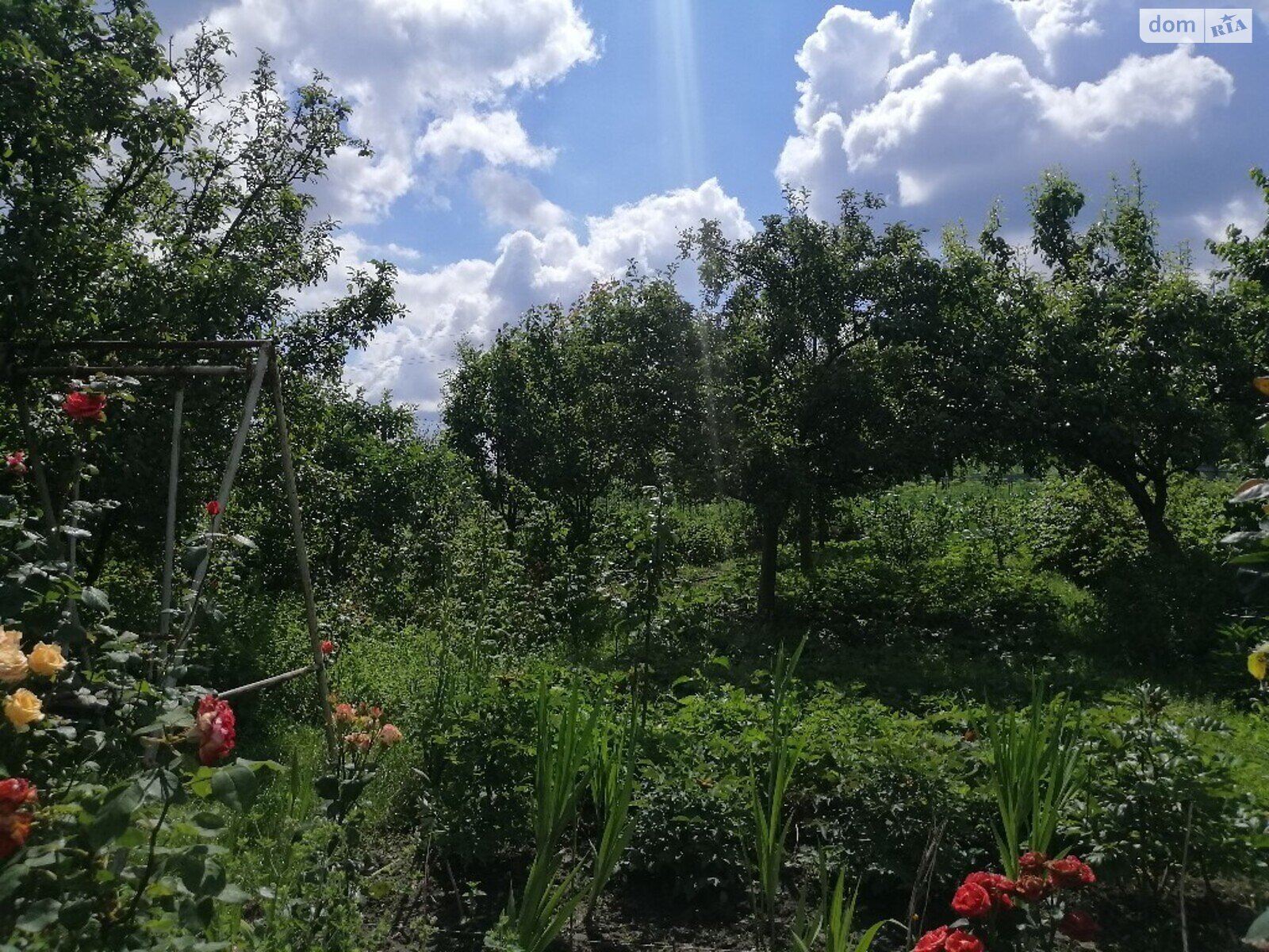 Земельна ділянка під житлову забудову в Підгородне, площа 15 соток фото 1