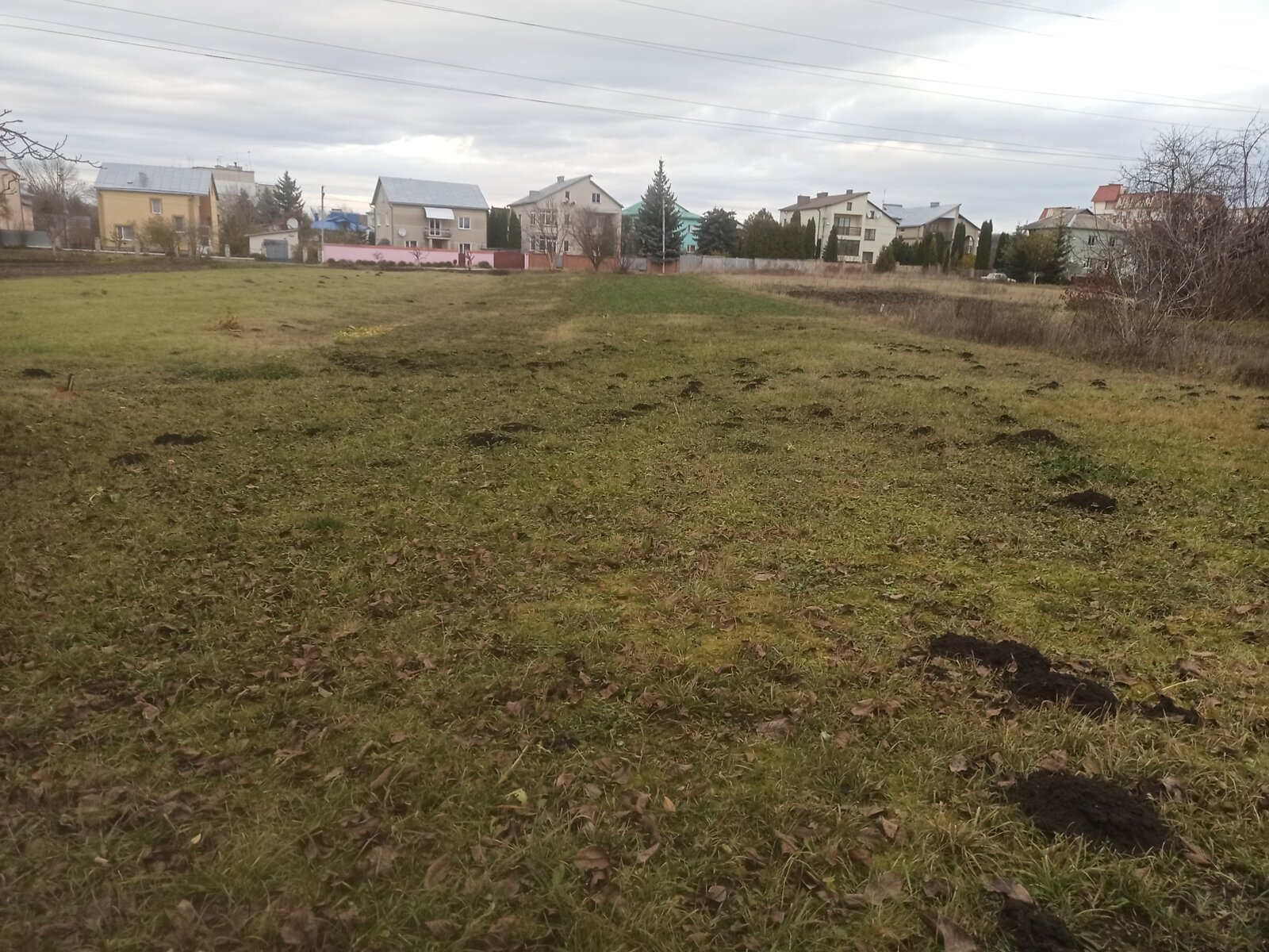 Земля під житлову забудову в Тернополі, район Цукровий завод, площа 24 сотки фото 1