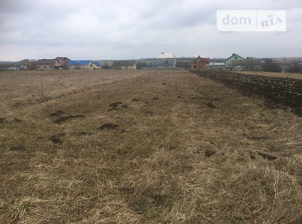 Земля под жилую застройку в селе Шляхтинци, площадь 25 соток фото 1 Земля под жилую застройку в селе Шляхтинци, площадь 25 соток фото 1