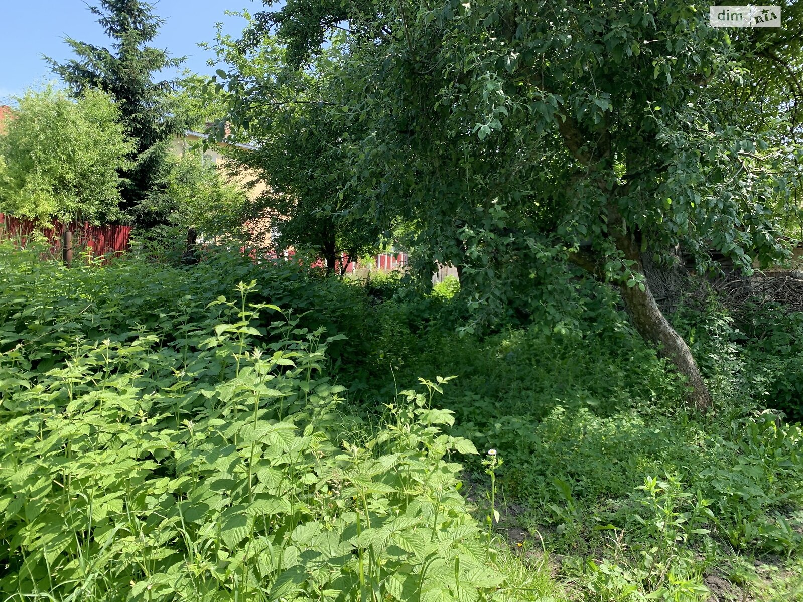 Земля під житлову забудову в Тернополі, район Центр, площа 3.8 сотки фото 1