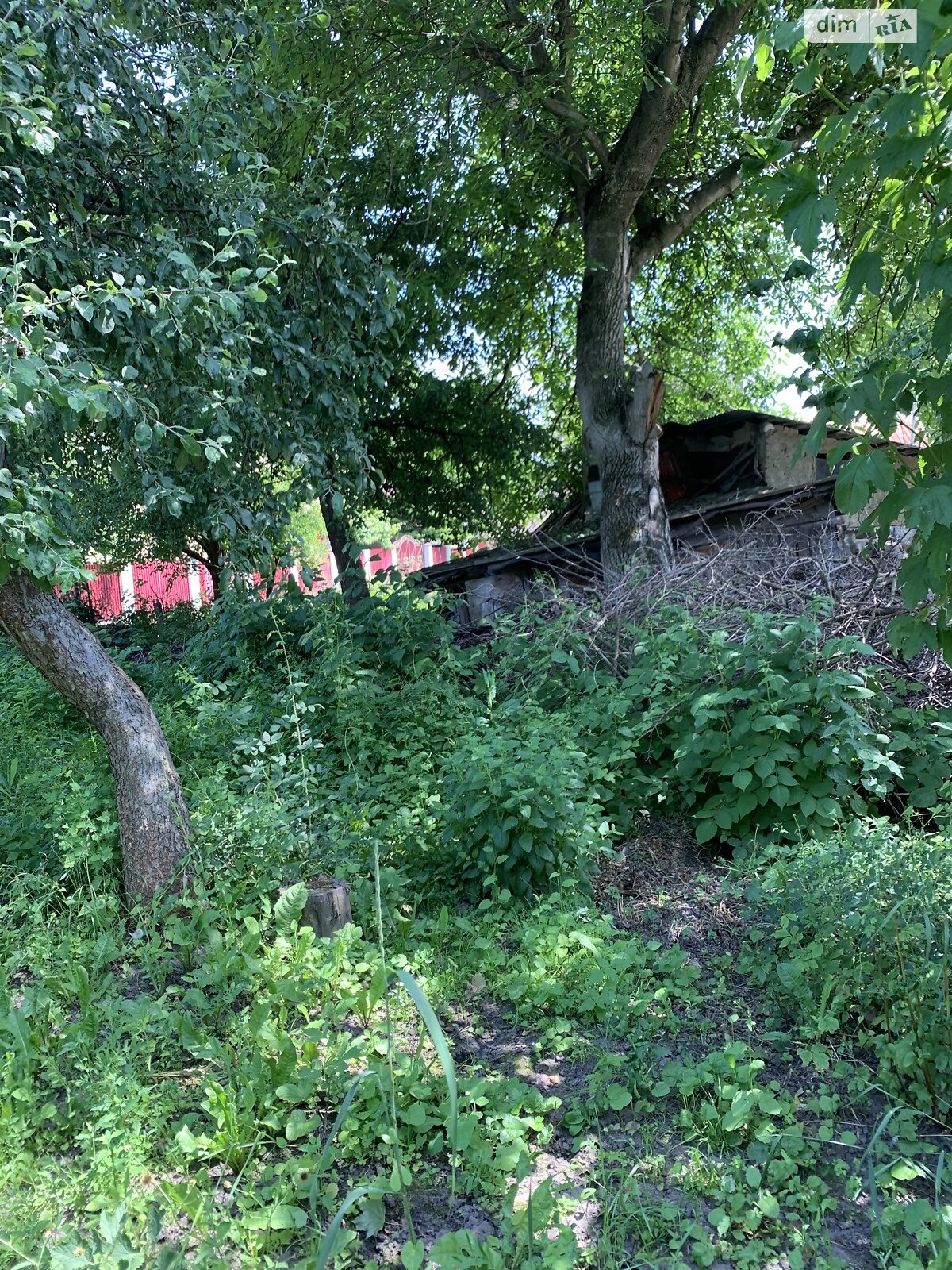 Земля під житлову забудову в Тернополі, район Центр, площа 3.8 сотки фото 1