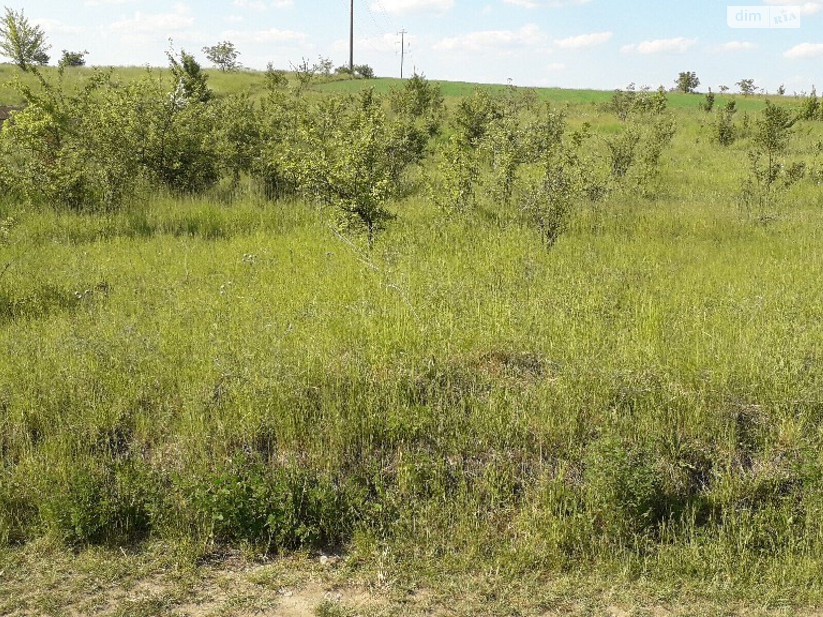 Земельна ділянка під житлову забудову в Великих Бірок, площа 15 соток фото 1