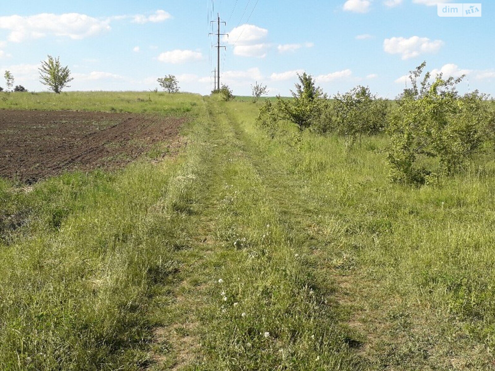 Земельна ділянка під житлову забудову в Великих Бірок, площа 15 соток фото 1