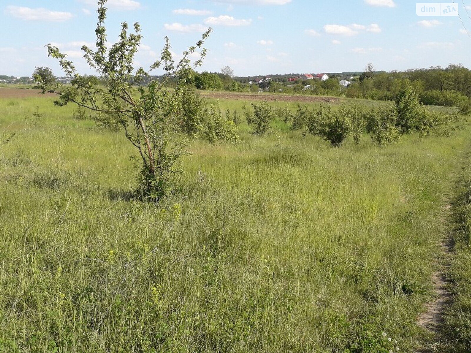 Земельна ділянка під житлову забудову в Великих Бірок, площа 15 соток фото 1