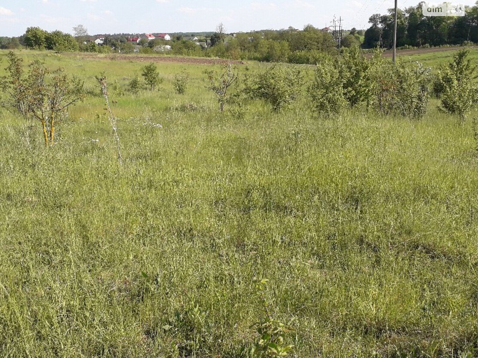 Земельный участок под жилую застройку в Великиких Бирок, площадь 15 соток фото 1 Земельный участок под жилую застройку в Великиких Бирок, площадь 15 соток фото 1