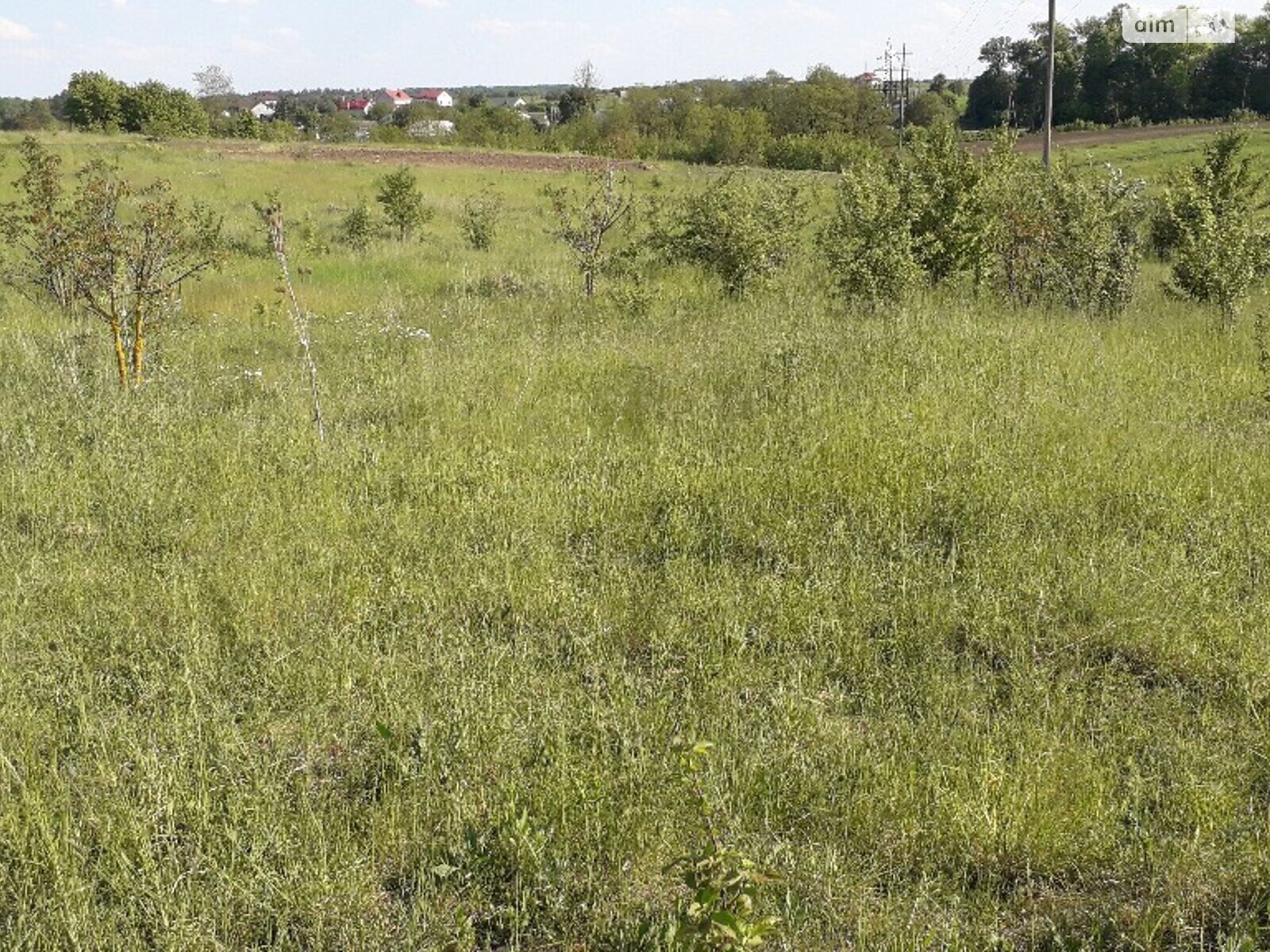 Земельный участок под жилую застройку в Великиких Бирок, площадь 15 соток фото 1