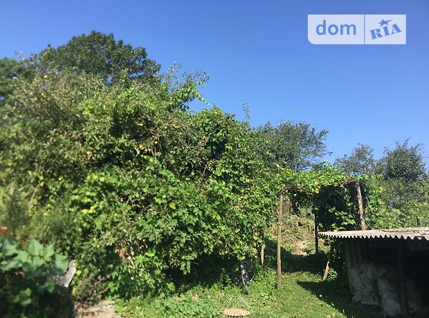 Земля под жилую застройку в селе Застенка, площадь 10 соток фото 1 Земля под жилую застройку в селе Застенка, площадь 10 соток фото 1