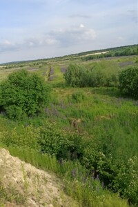 Земельна ділянка під житлову забудову в Тернопіллі, площа 20 соток фото 2