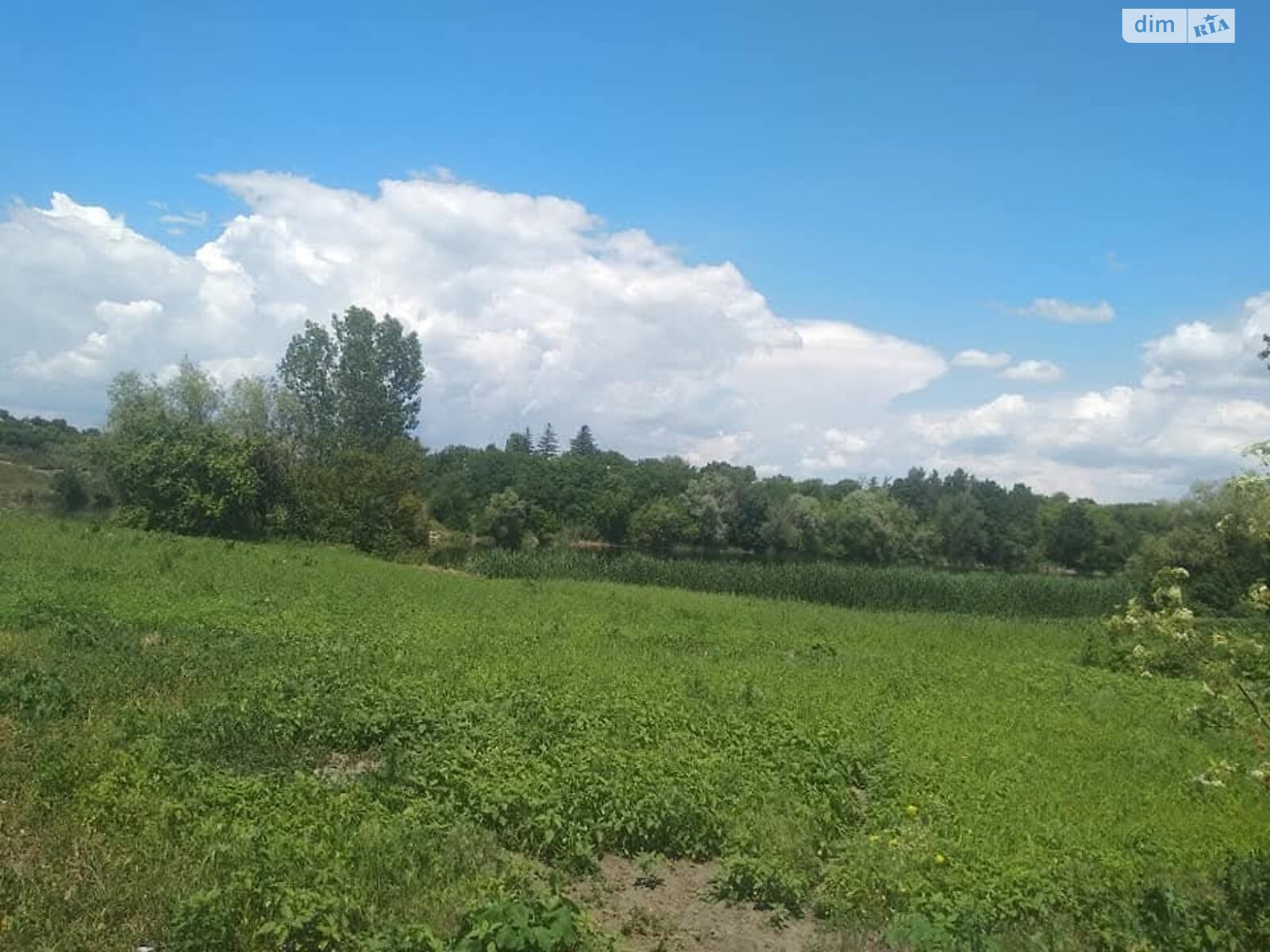 Земельный участок под жилую застройку в Терновке, площадь 0.25 Га фото 1 Земельный участок под жилую застройку в Терновке, площадь 0.25 Га фото 1