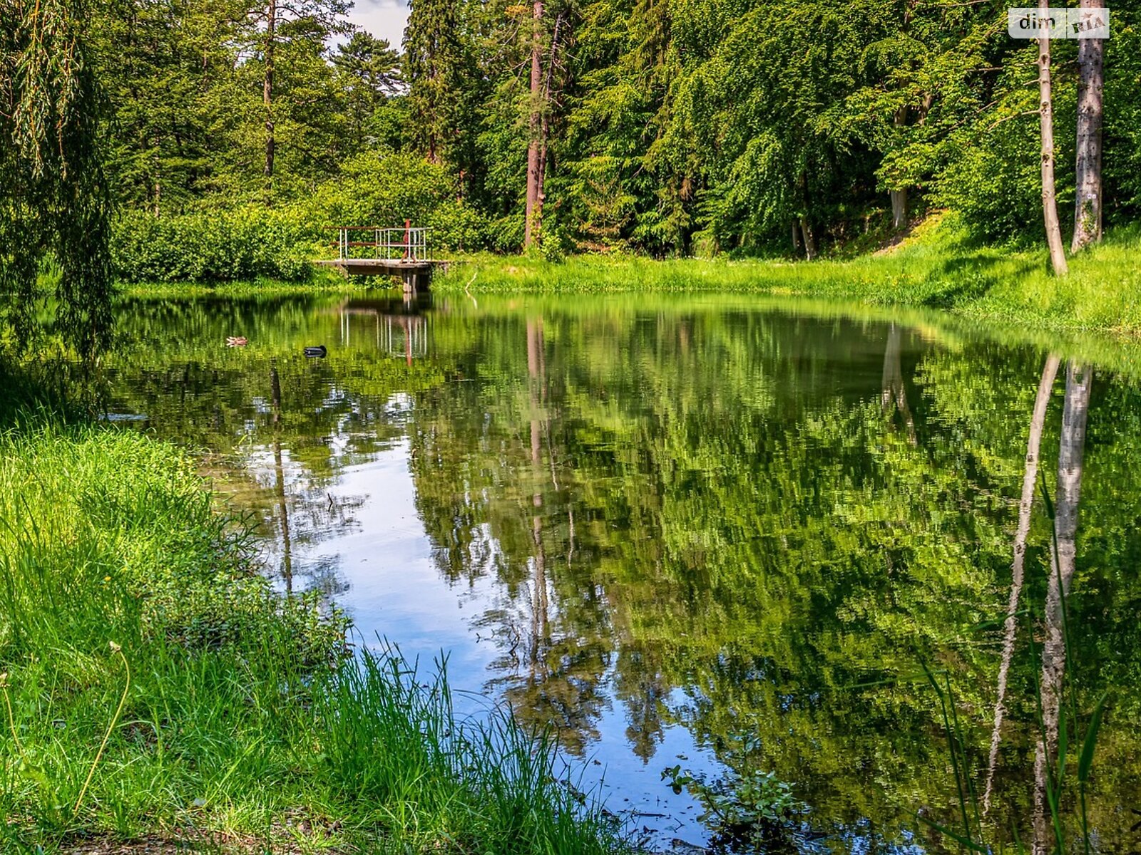 Земельный участок под жилую застройку в Тетеревке, площадь 10 соток фото 1 Земельный участок под жилую застройку в Тетеревке, площадь 10 соток фото 1