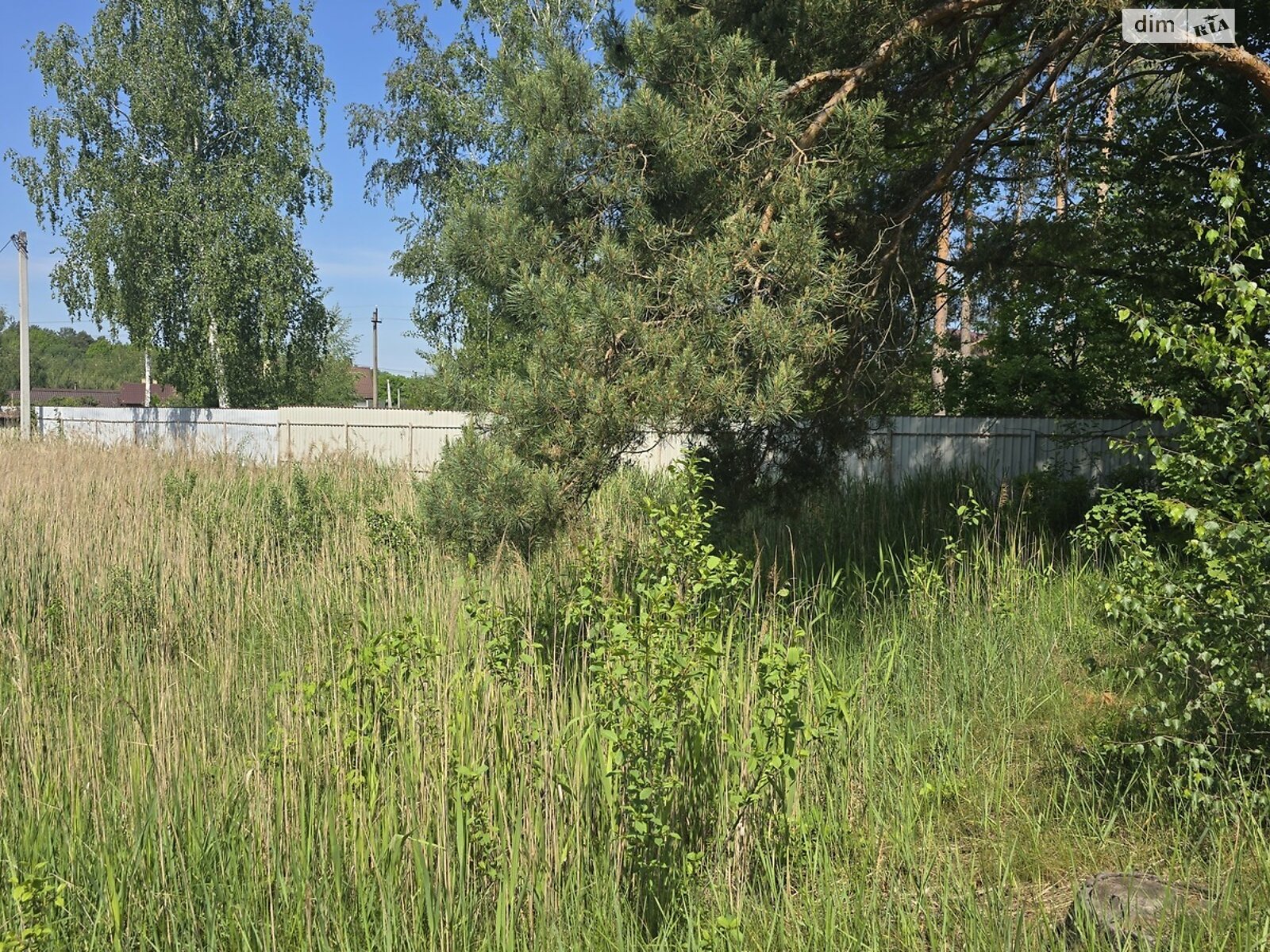 Земельный участок под жилую застройку в Тетеревке, площадь 9 соток фото 1 Земельный участок под жилую застройку в Тетеревке, площадь 9 соток фото 1