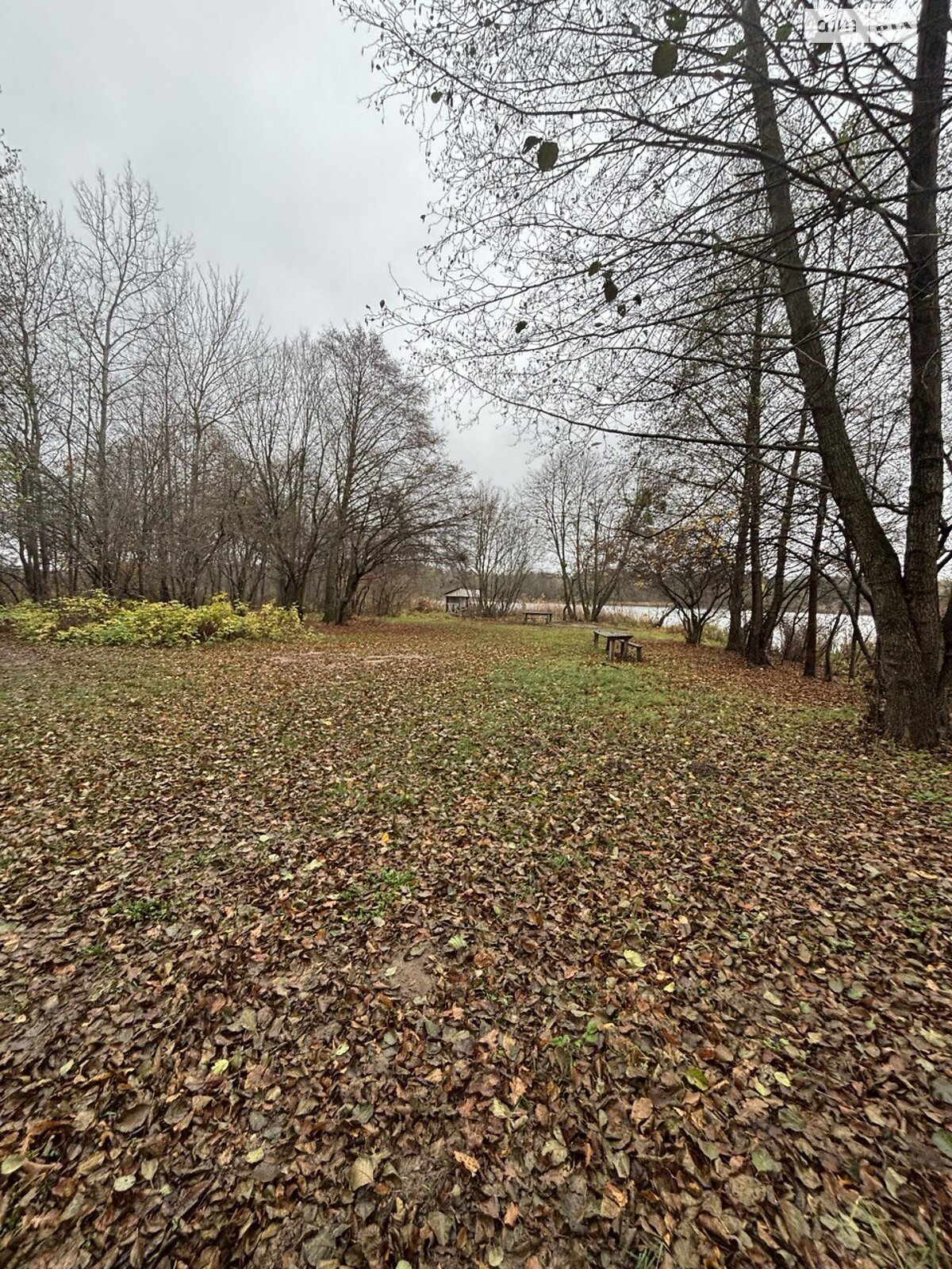 Земельна ділянка під житлову забудову в Тетерівці, площа 12 соток фото 1