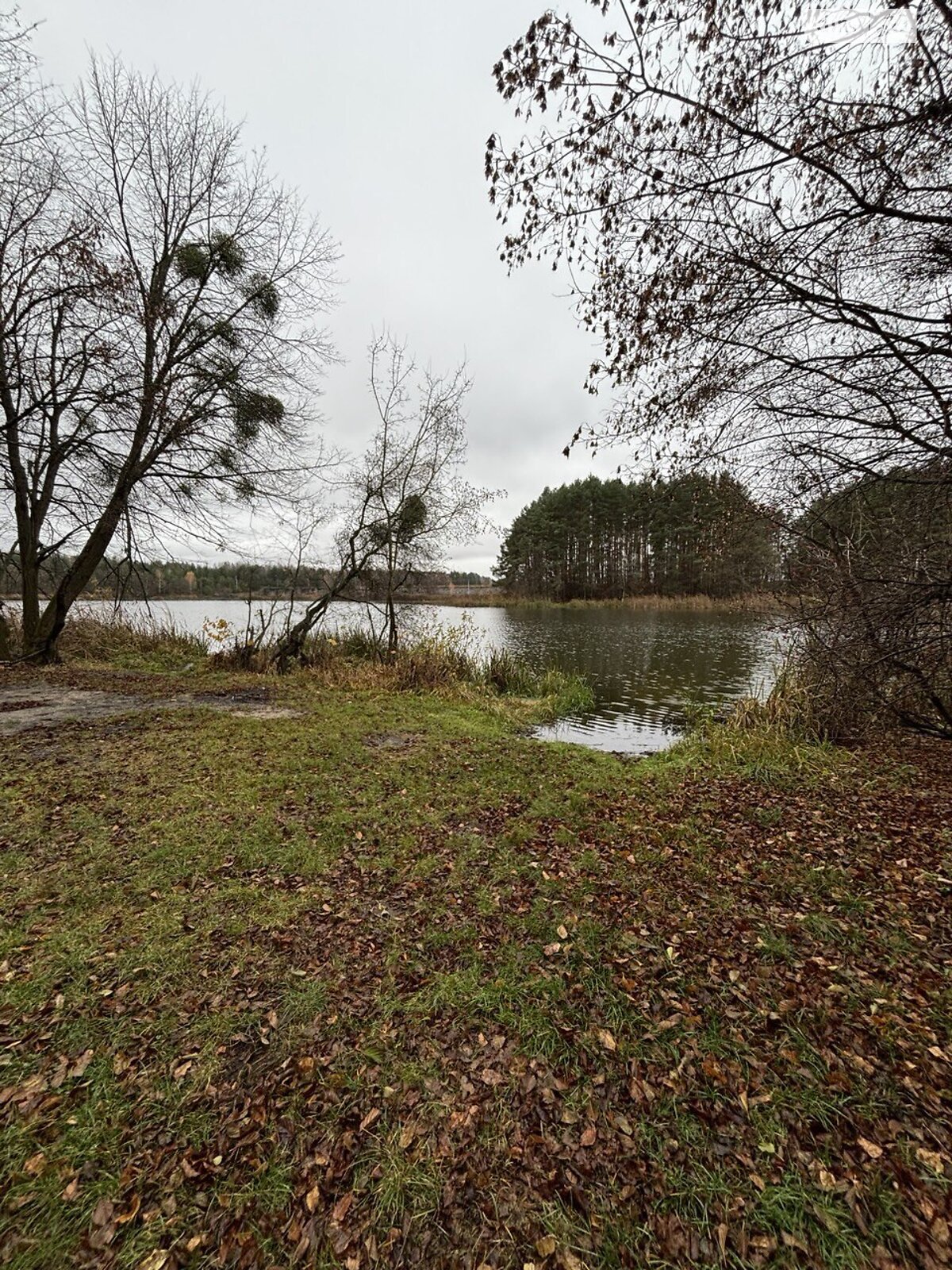 Земельна ділянка під житлову забудову в Тетерівці, площа 12 соток фото 1